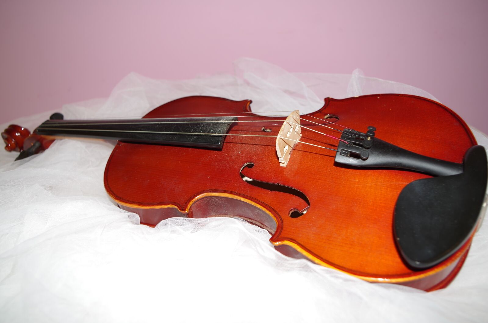 Pentax K-50 sample photo. Violin, music, tool photography