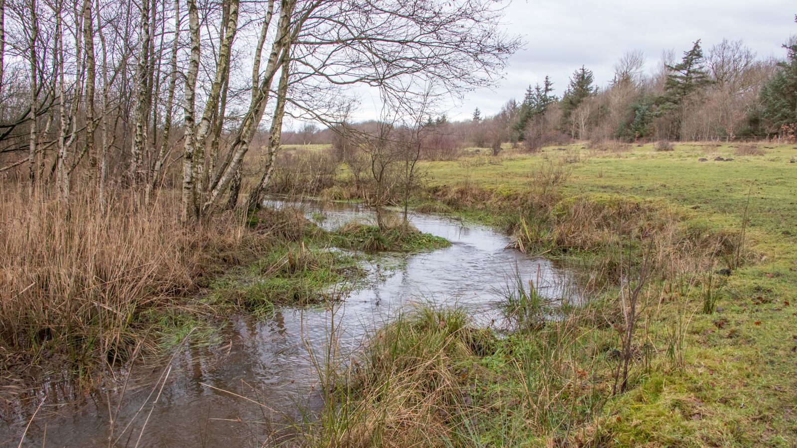 Canon EF-S 18-135mm F3.5-5.6 IS USM sample photo. Brook, å, streams photography