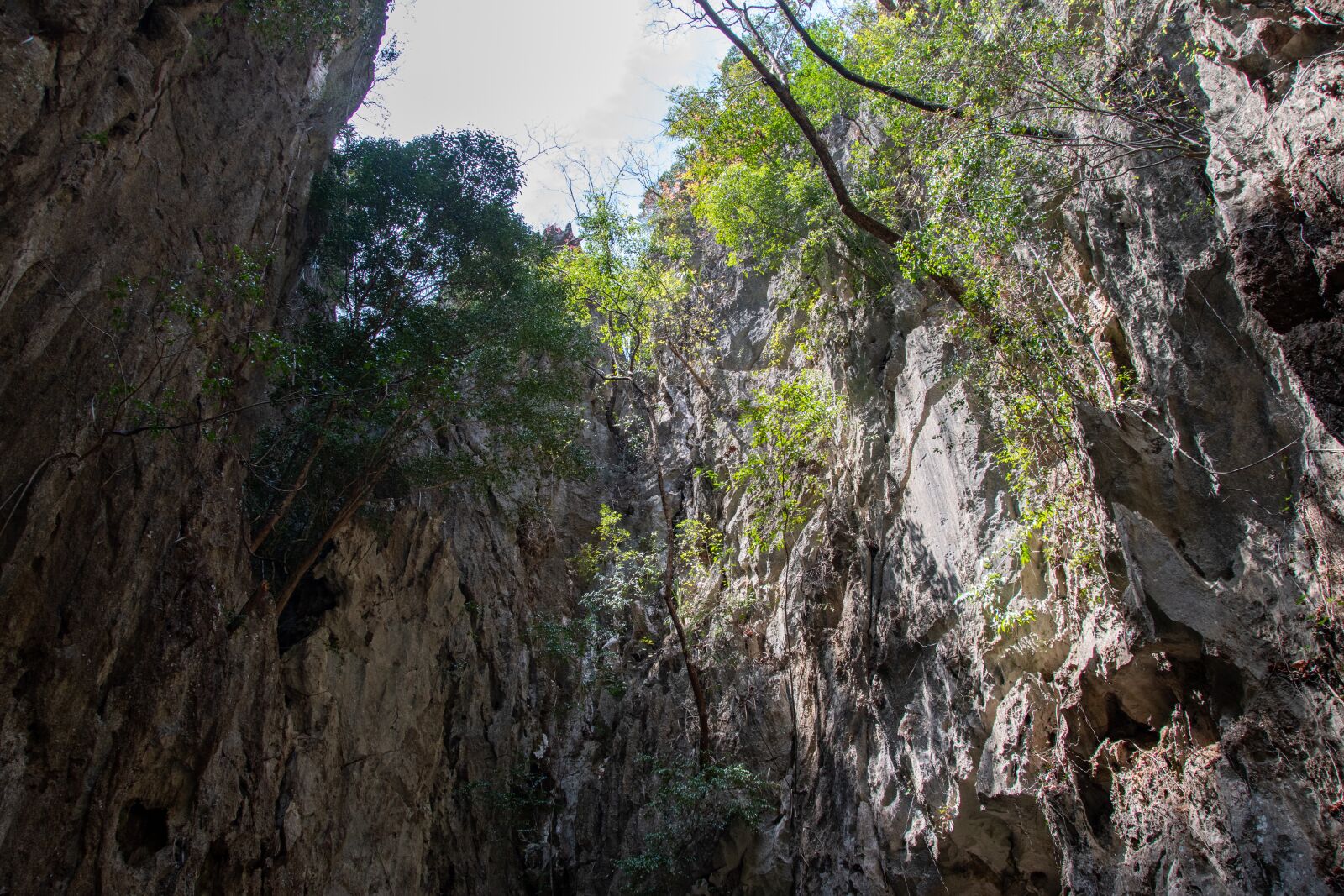 Nikon D5600 sample photo. Mountains, trees, rocks photography
