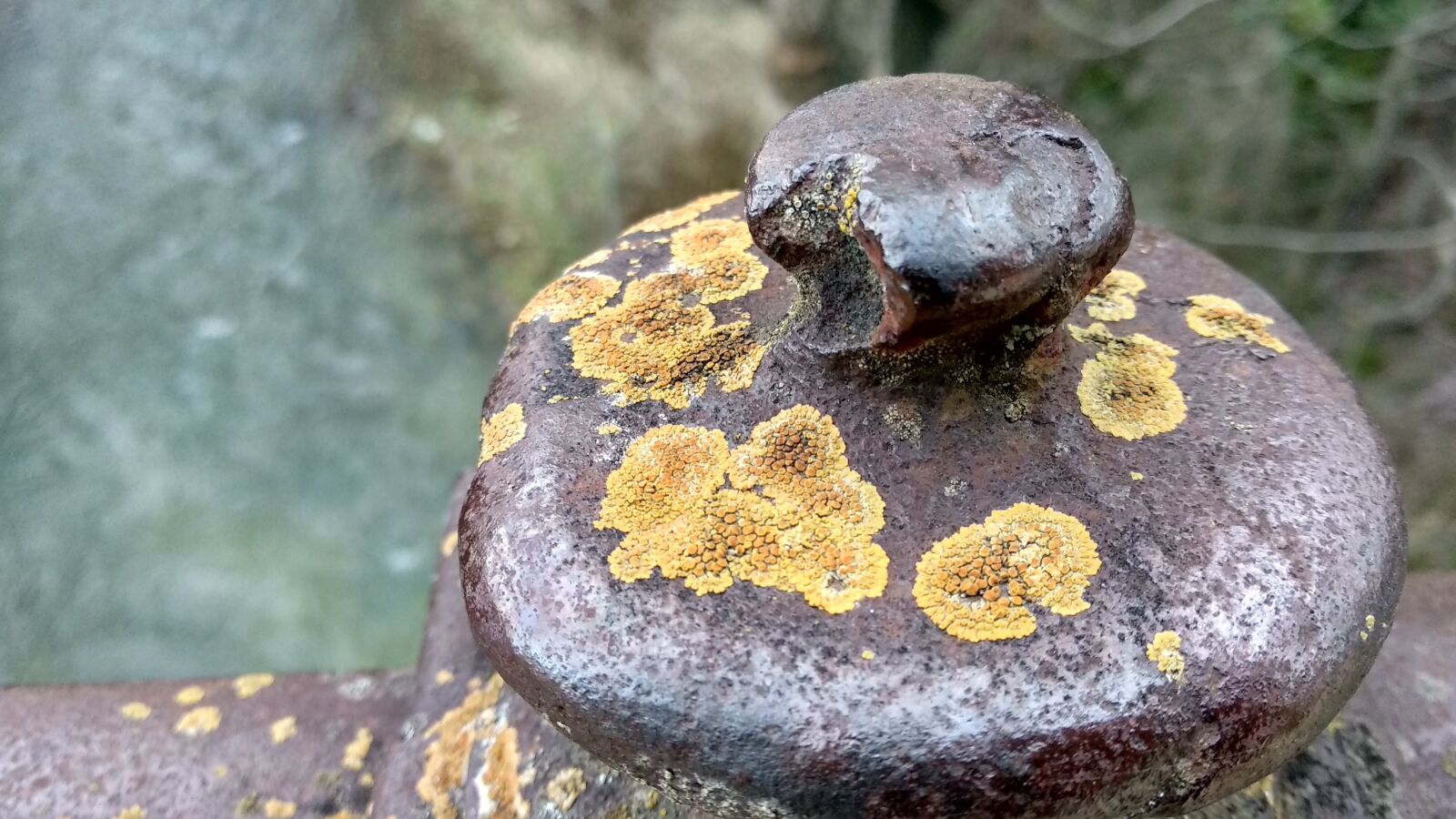 Xiaomi Mi A1 sample photo. Nature, rock, stone photography