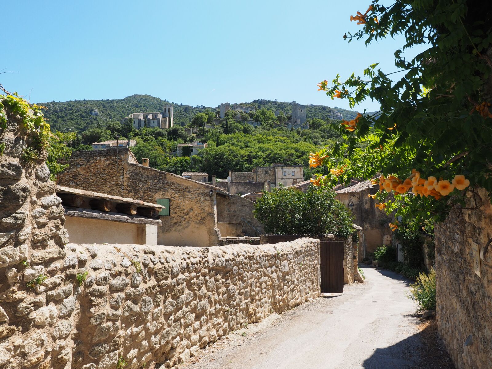 Olympus OM-D E-M1 + Olympus M.Zuiko Digital ED 12-40mm F2.8 Pro sample photo. Road, stone walls, village photography