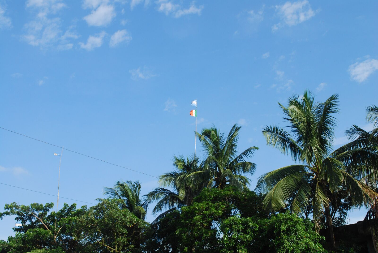 Nikon D60 sample photo. Sky, tree, landscape photography