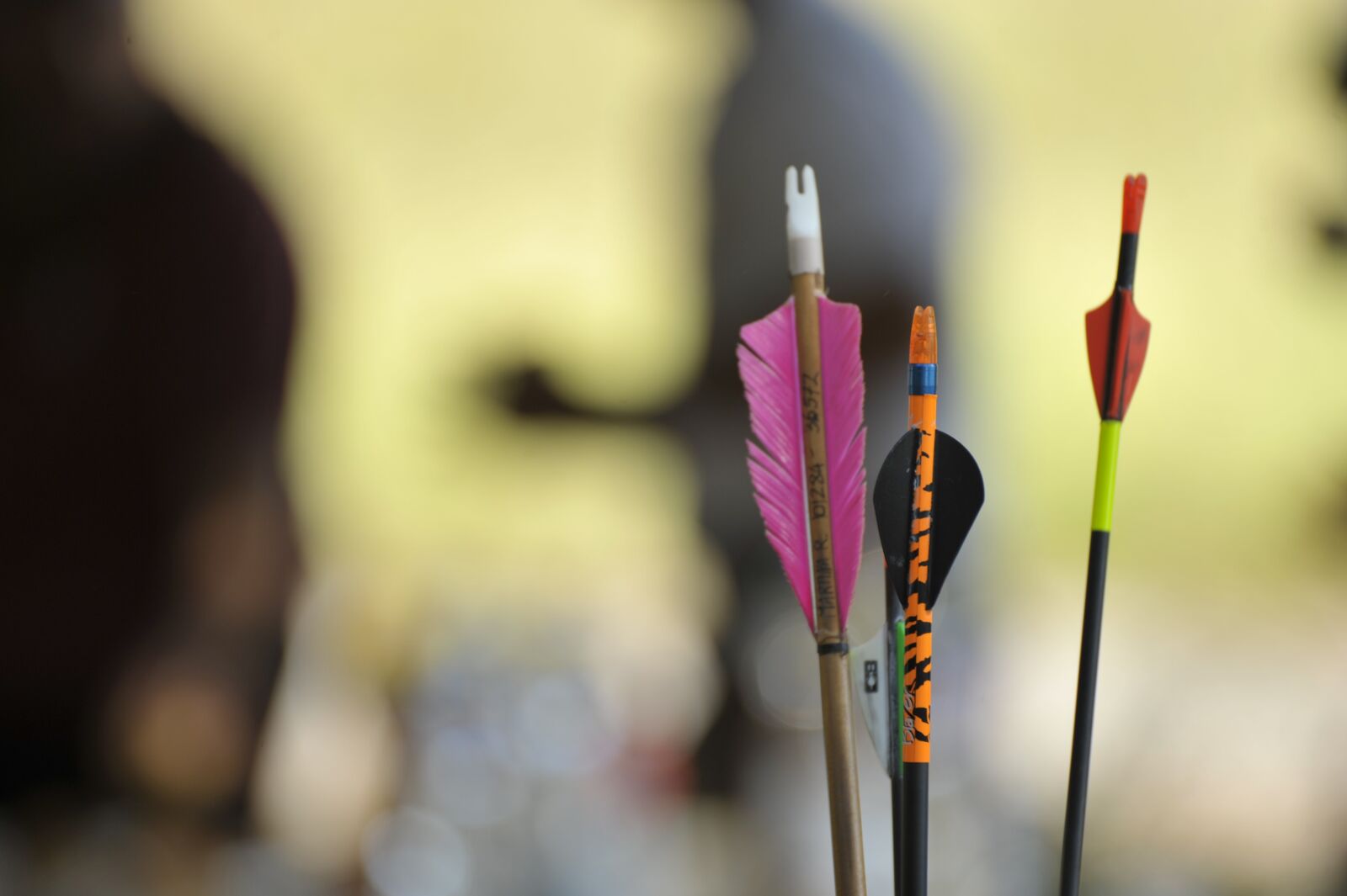 Nikon D700 sample photo. Outdoors, arc, arrow photography