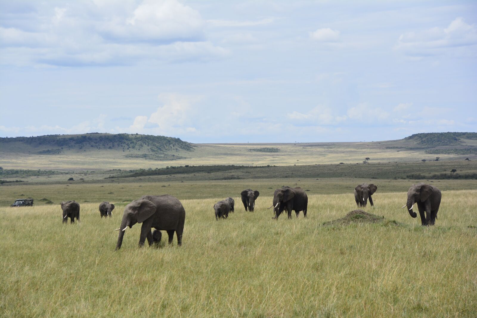 Nikon D5200 sample photo. Savannah, kenya, africa photography