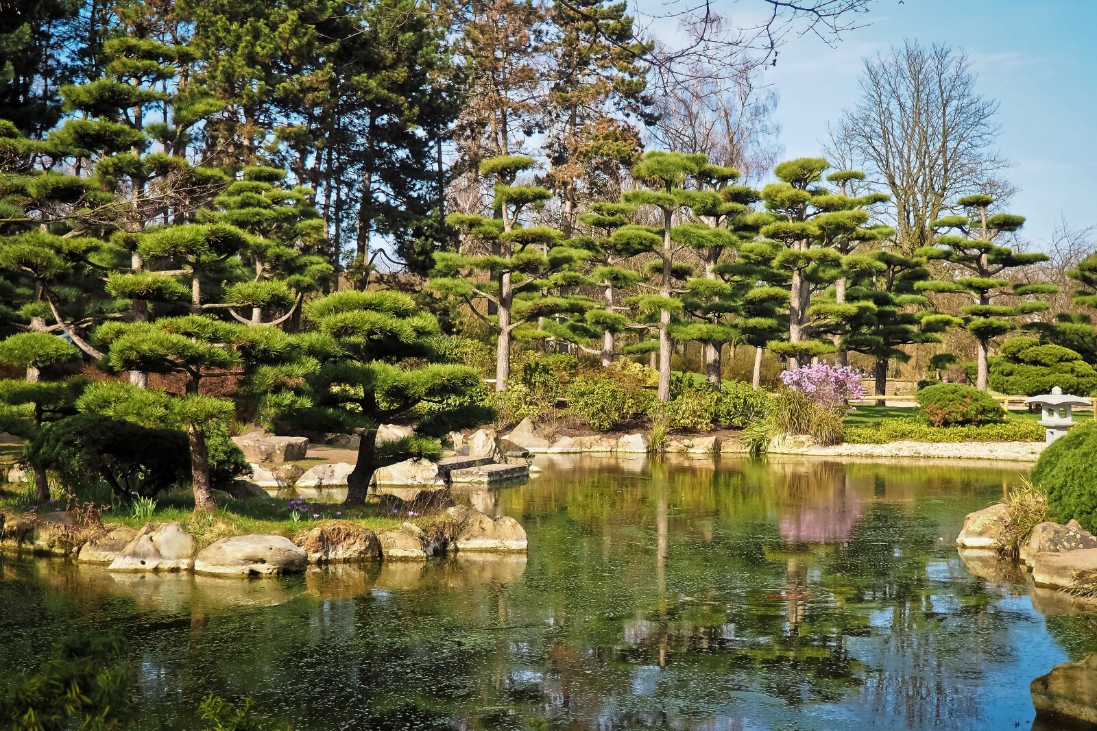 Olympus OM-D E-M10 sample photo. Landscape, garden, japanese garden photography