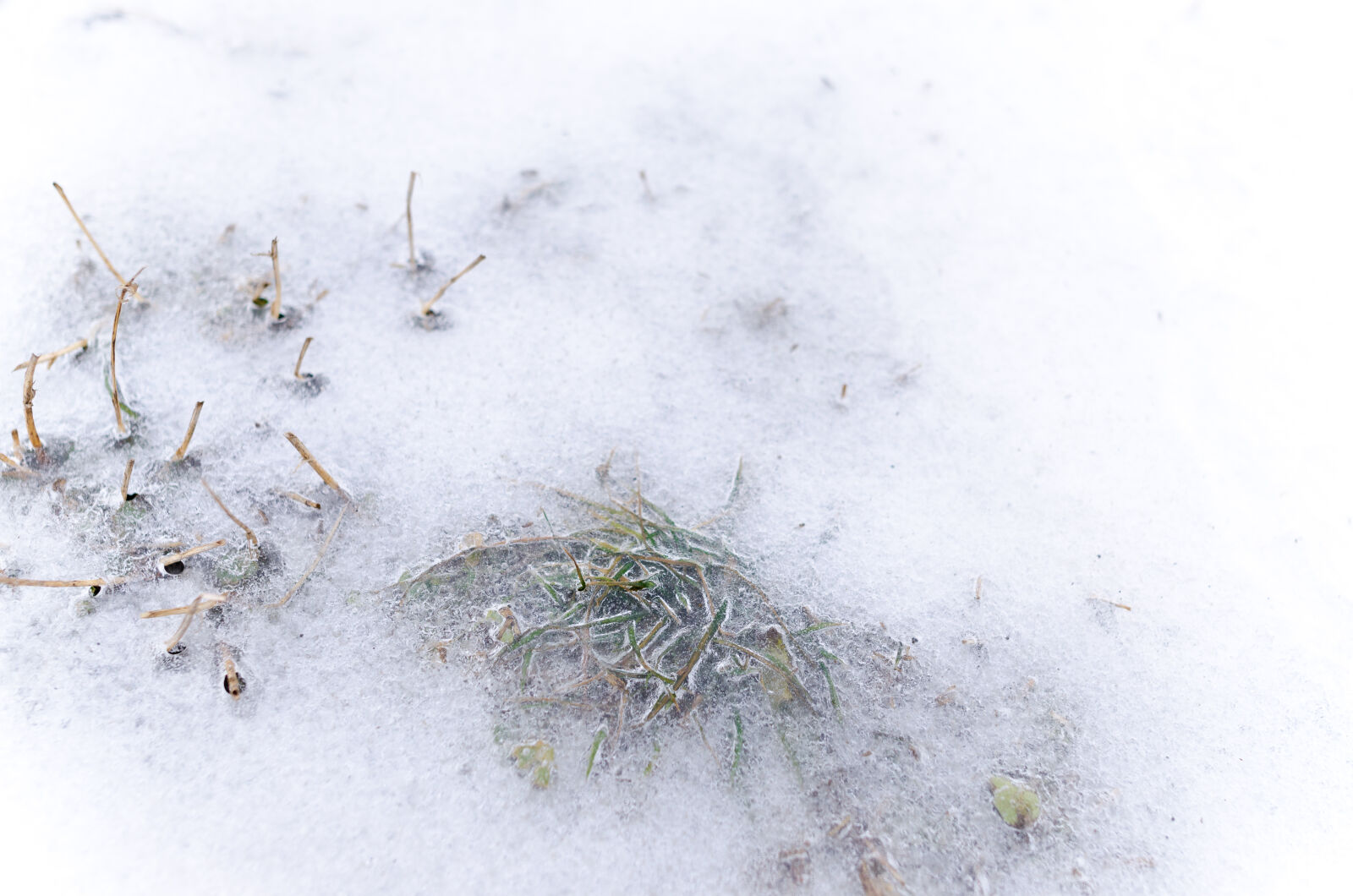 Nikon D5100 sample photo. Abstract, arctic, backdrop, background photography