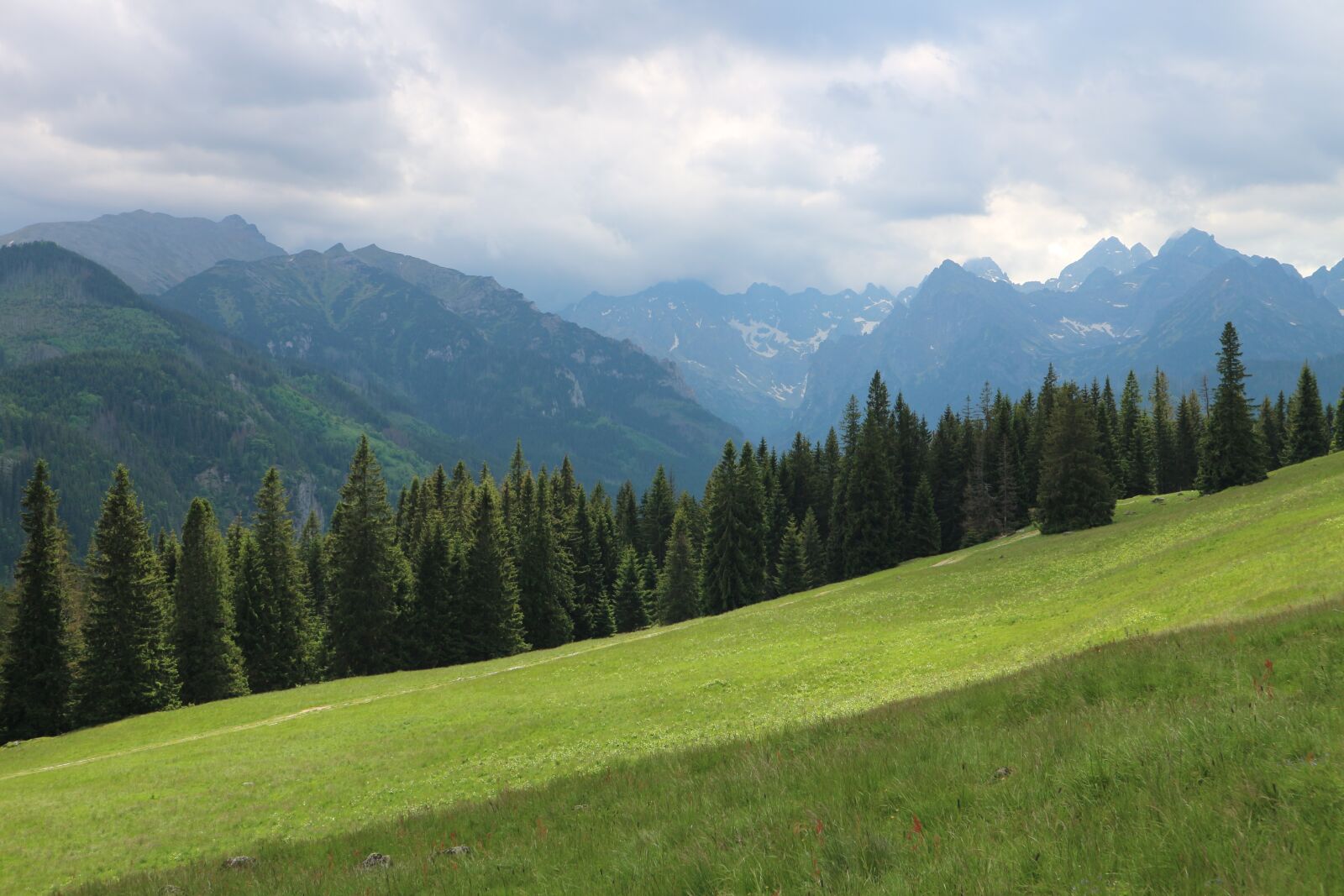 Canon EOS M10 sample photo. Poland, rusinowa logs, mountains photography