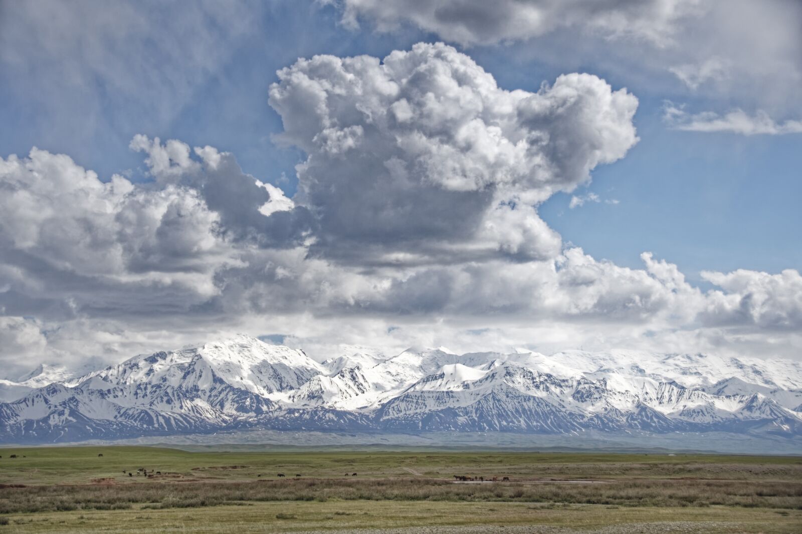Nikon D500 sample photo. Kyrgyzstan, the pamir mountains photography