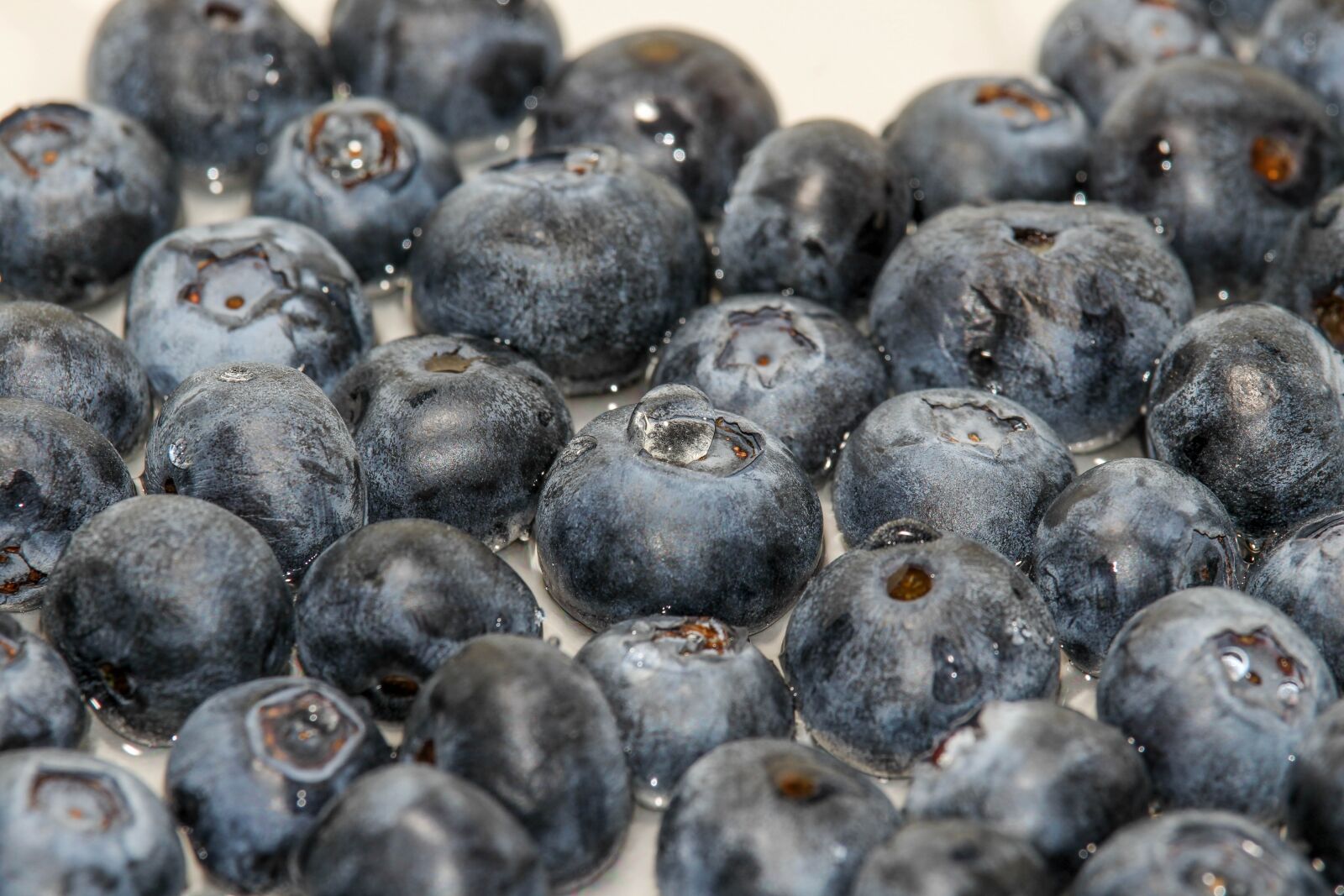 Canon EOS 1200D (EOS Rebel T5 / EOS Kiss X70 / EOS Hi) sample photo. Blueberry, food, fruit photography