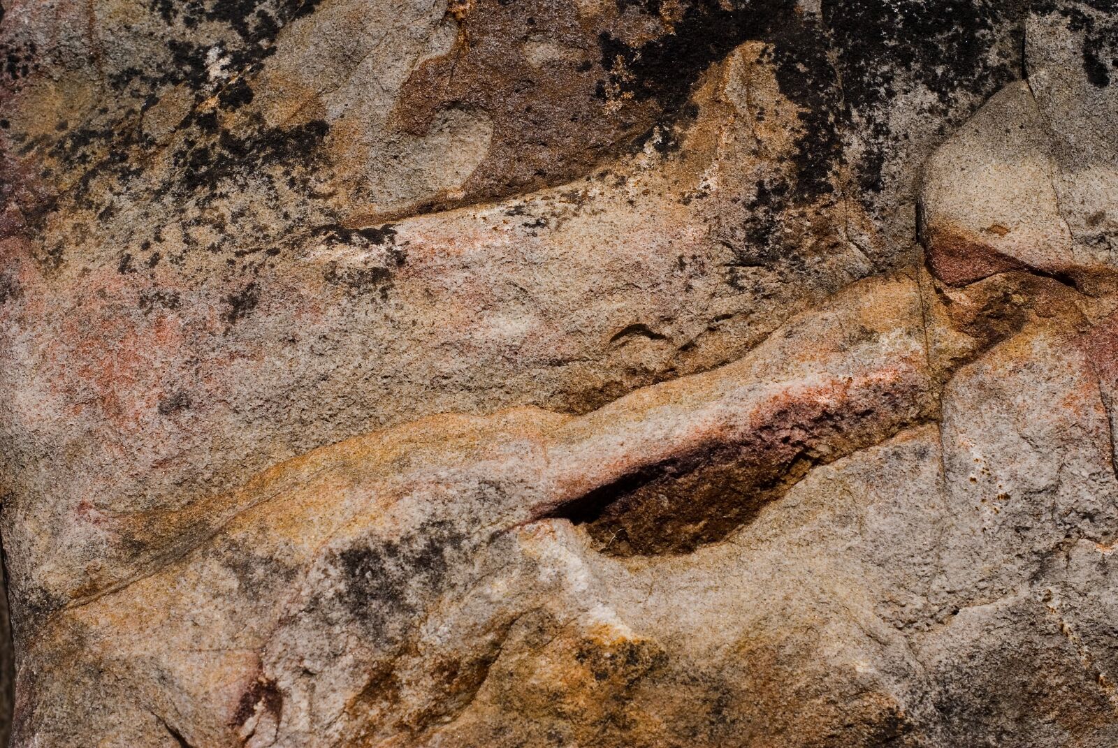 Sony Alpha DSLR-A100 sample photo. Background, rock, stone photography