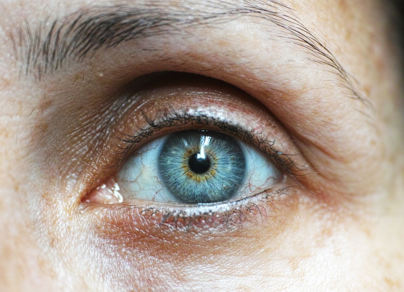 Sigma DP3 Merrill sample photo. Eyebrow, eyelash, human eye photography
