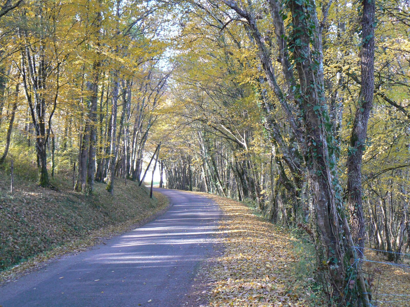 Panasonic DMC-FZ7 sample photo. Landscape, fall, road photography