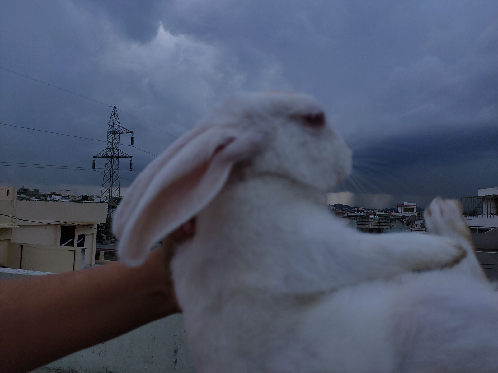 Realme 5 PRO sample photo