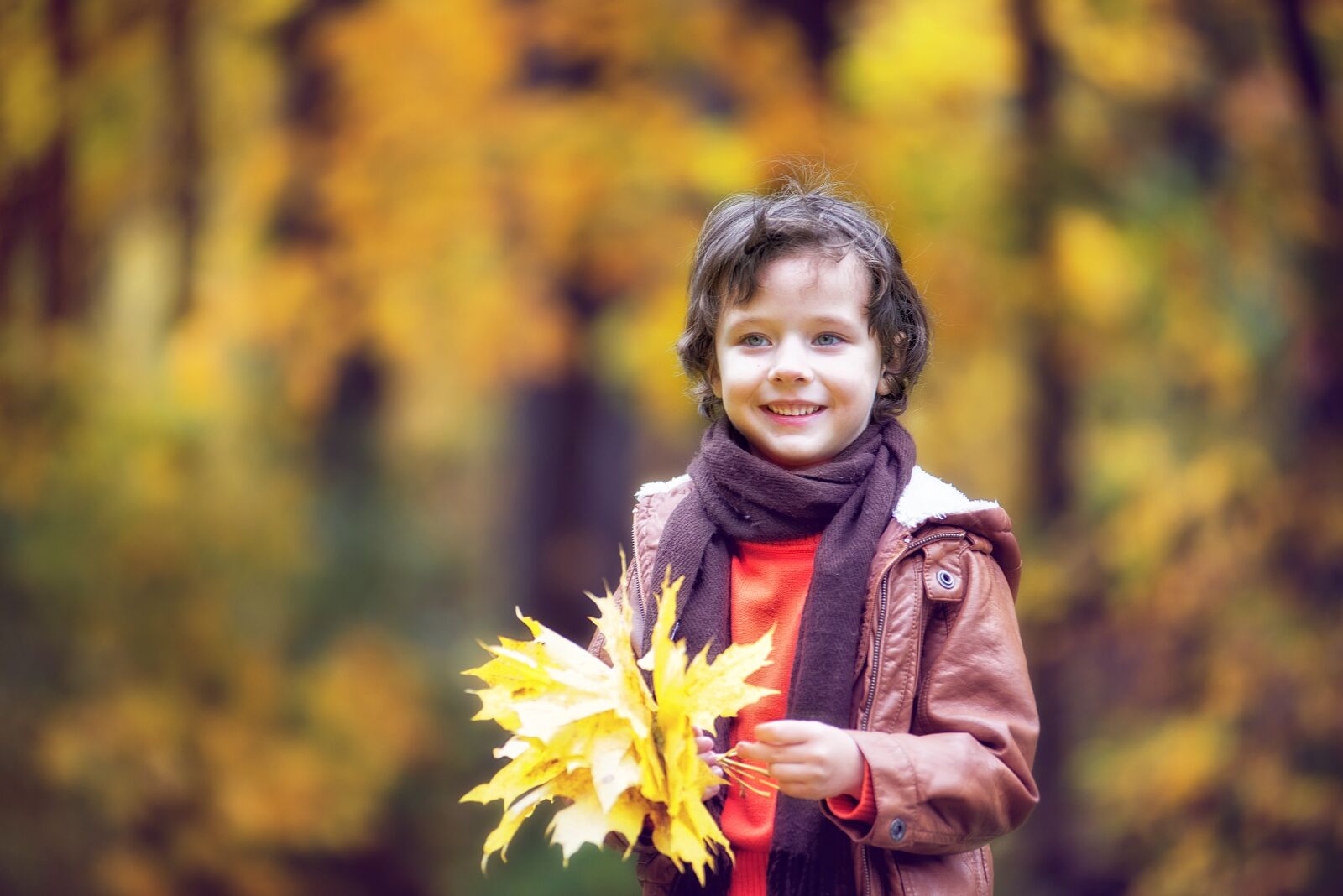 Nikon D610 sample photo. Park, autumn, autumn park photography