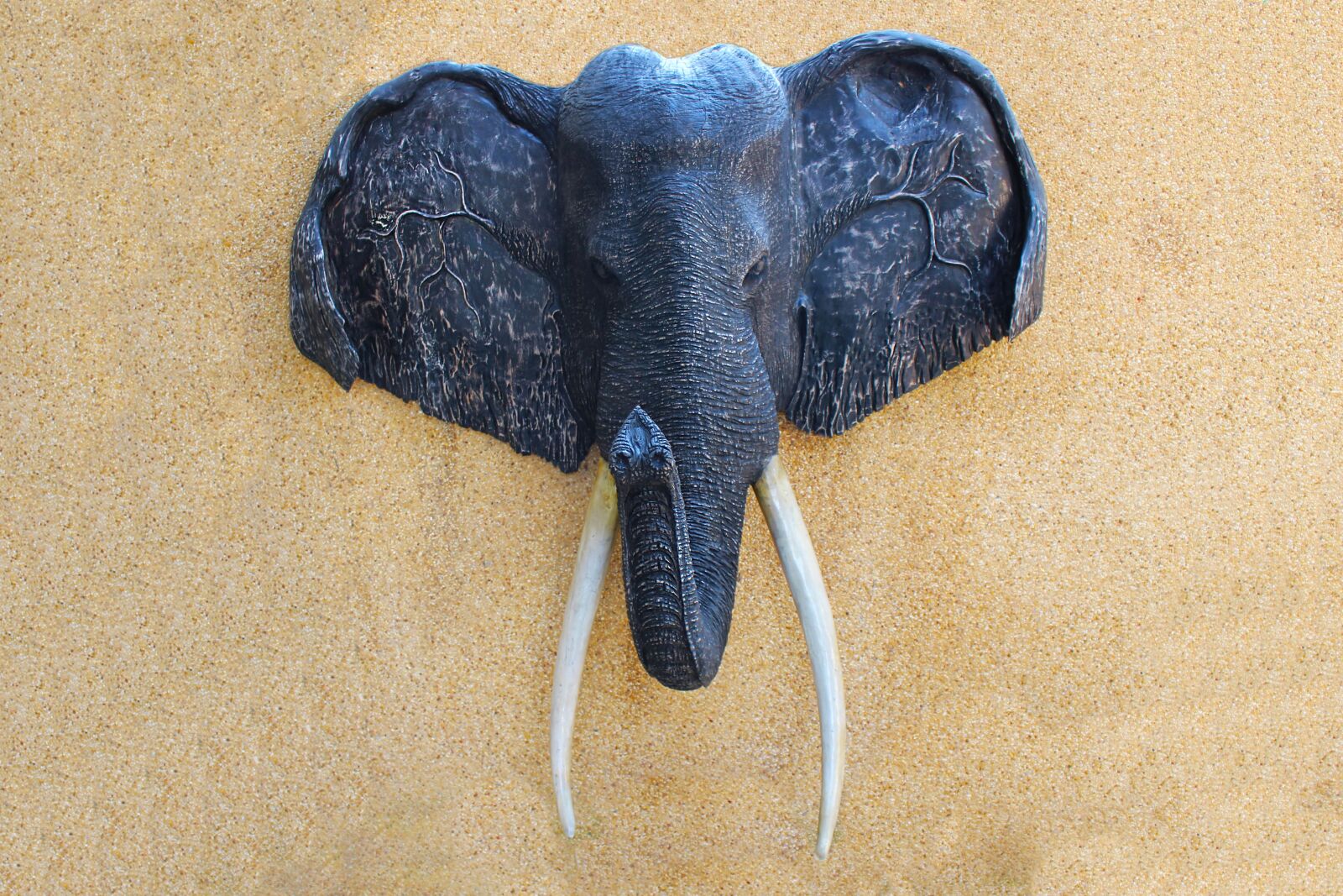 Canon EOS 700D (EOS Rebel T5i / EOS Kiss X7i) sample photo. Elephant head, wall plaque photography