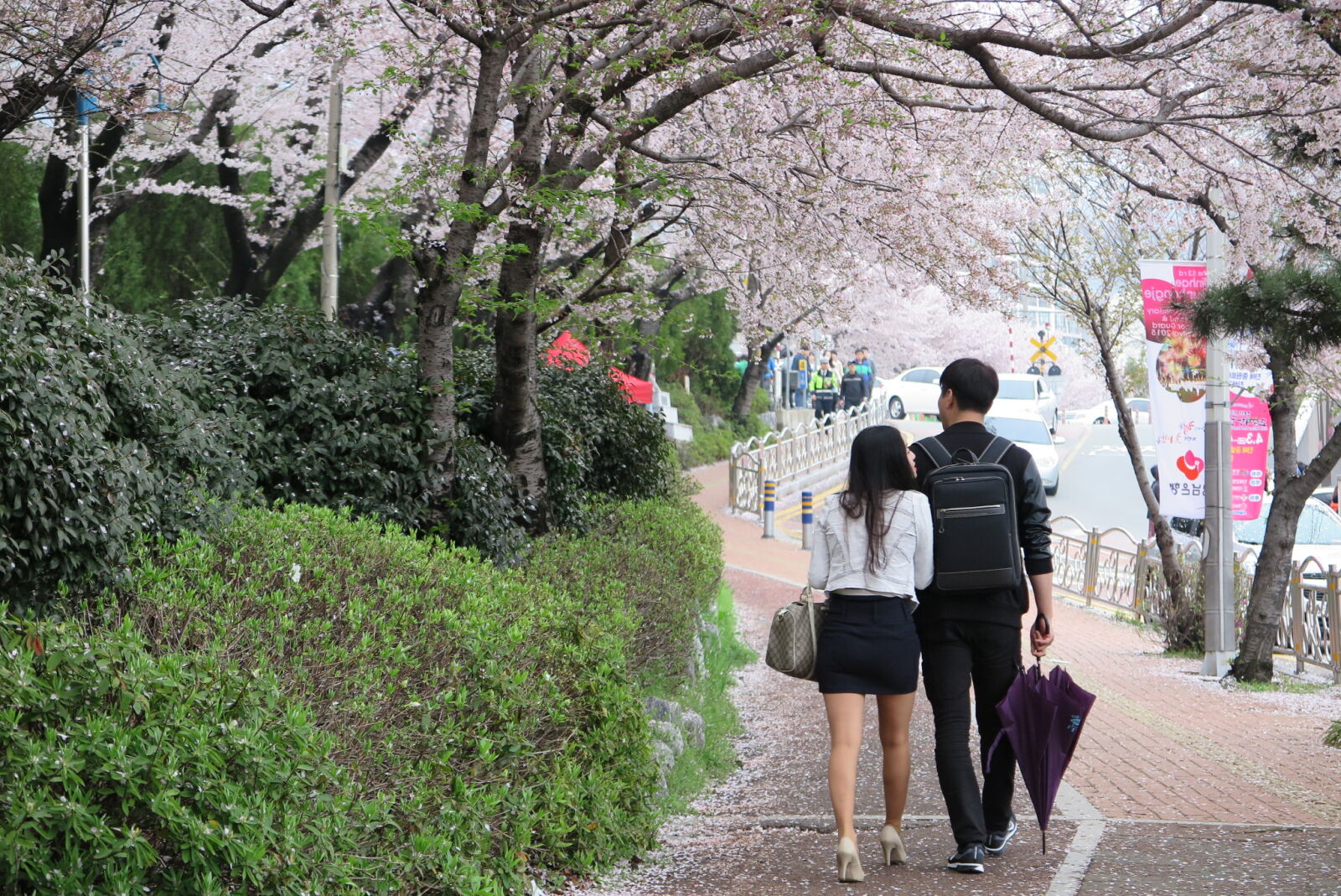 Canon PowerShot G1 X Mark II sample photo. Korea photography