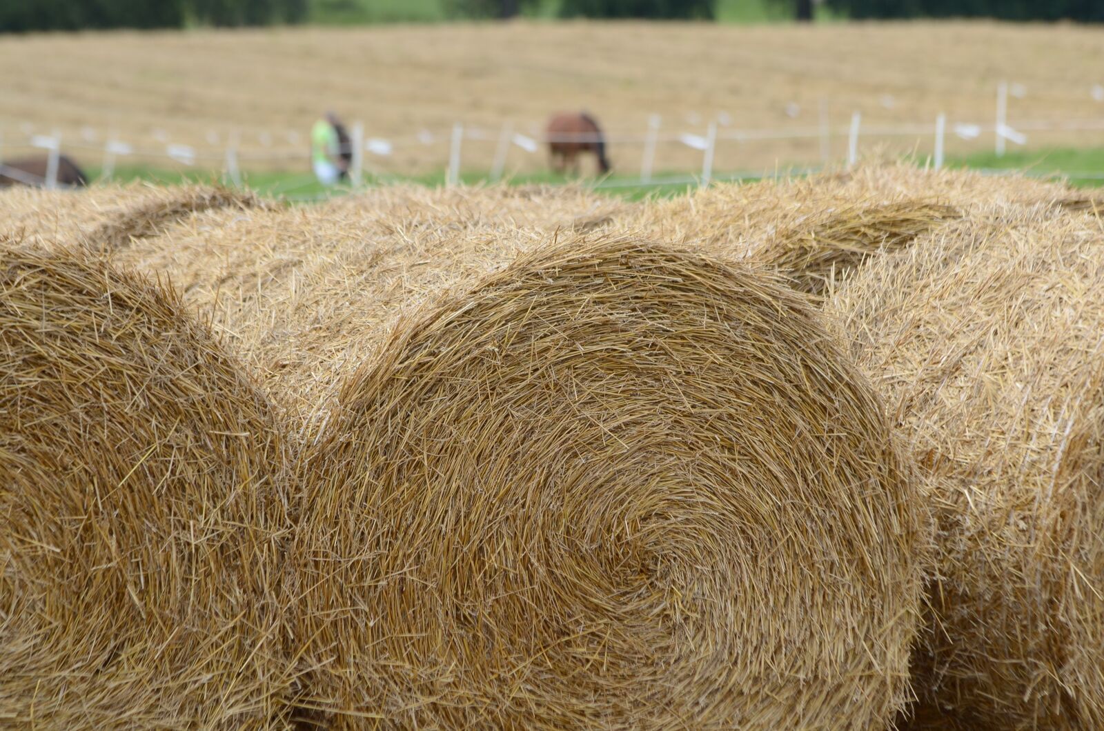 Nikon D7000 sample photo. Hay, grass, bales photography