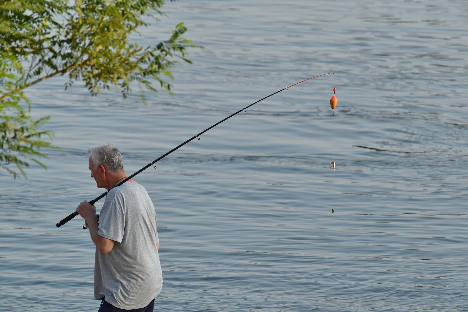 Nikon D5500 sample photo. Hook, fishing rod, fisherman photography