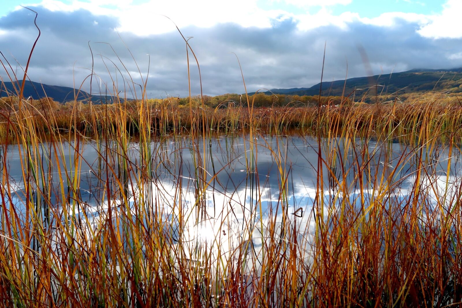 Canon PowerShot G7 X Mark II sample photo. Lake, autumn, grass photography