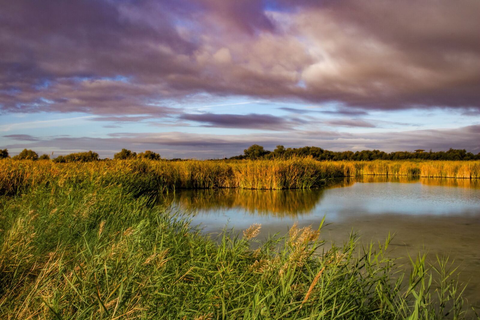 Canon EOS 750D (EOS Rebel T6i / EOS Kiss X8i) sample photo. Laguna, nubes, agua photography