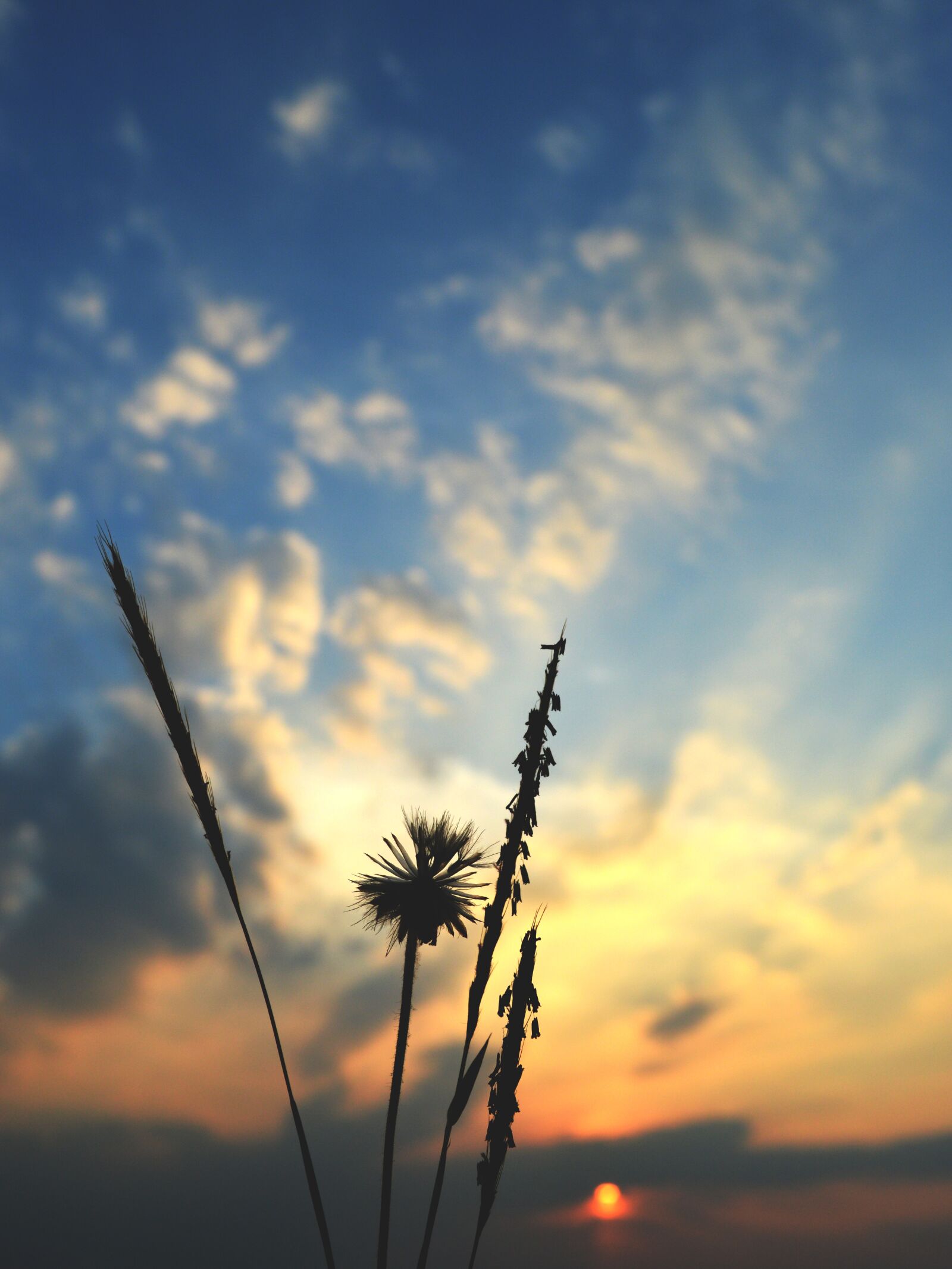 Nikon D3200 sample photo. Sunset, sunrise, silhouette photography