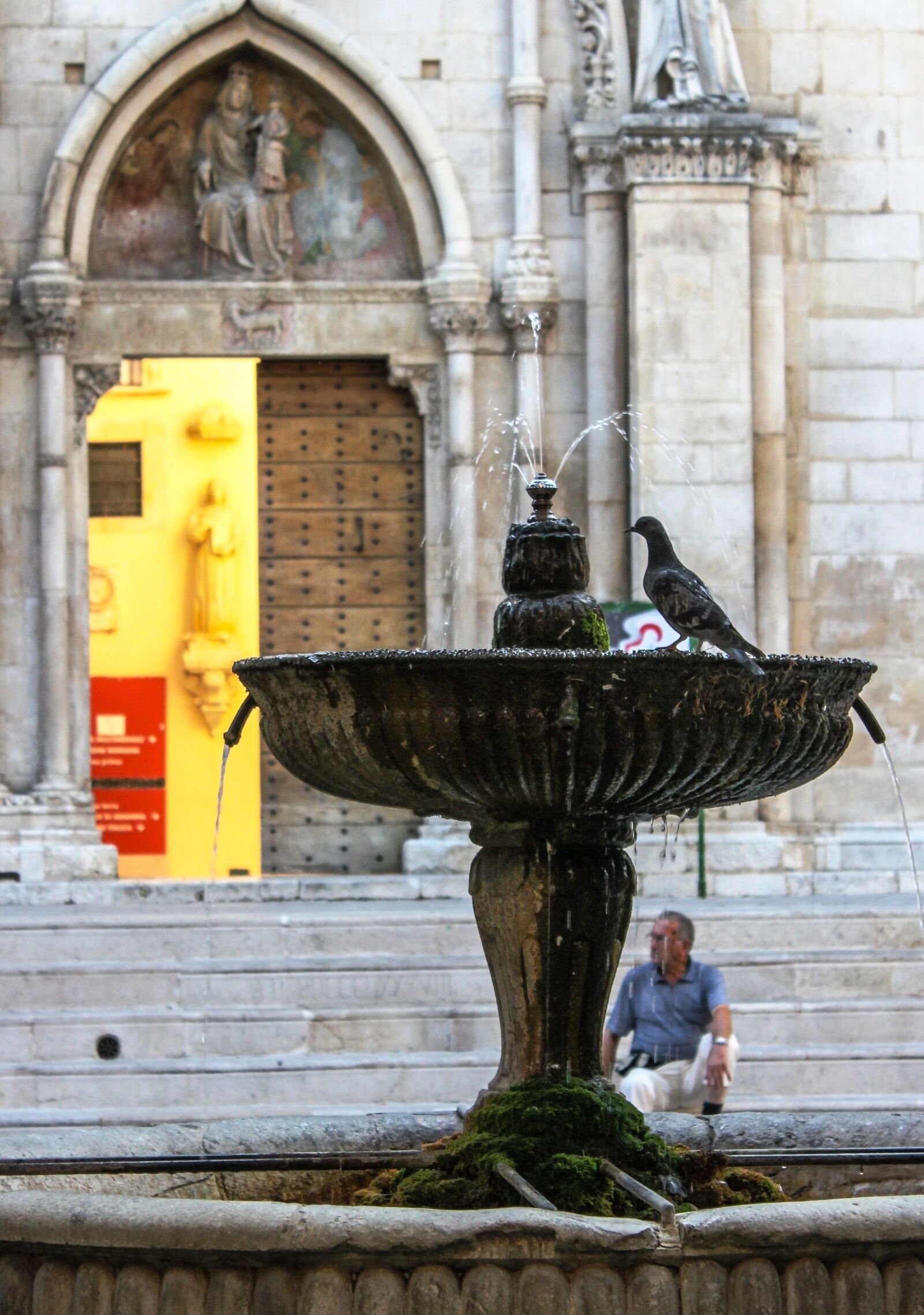 Canon EOS 550D (EOS Rebel T2i / EOS Kiss X4) sample photo. Fontana, gush, thirst photography