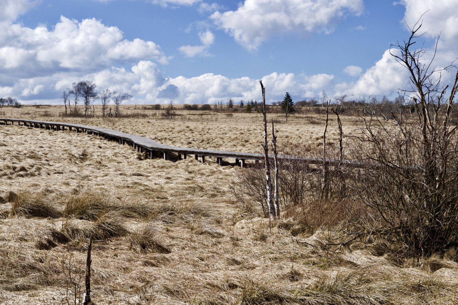 Nikon D5300 sample photo. High venn, nature, landscape photography