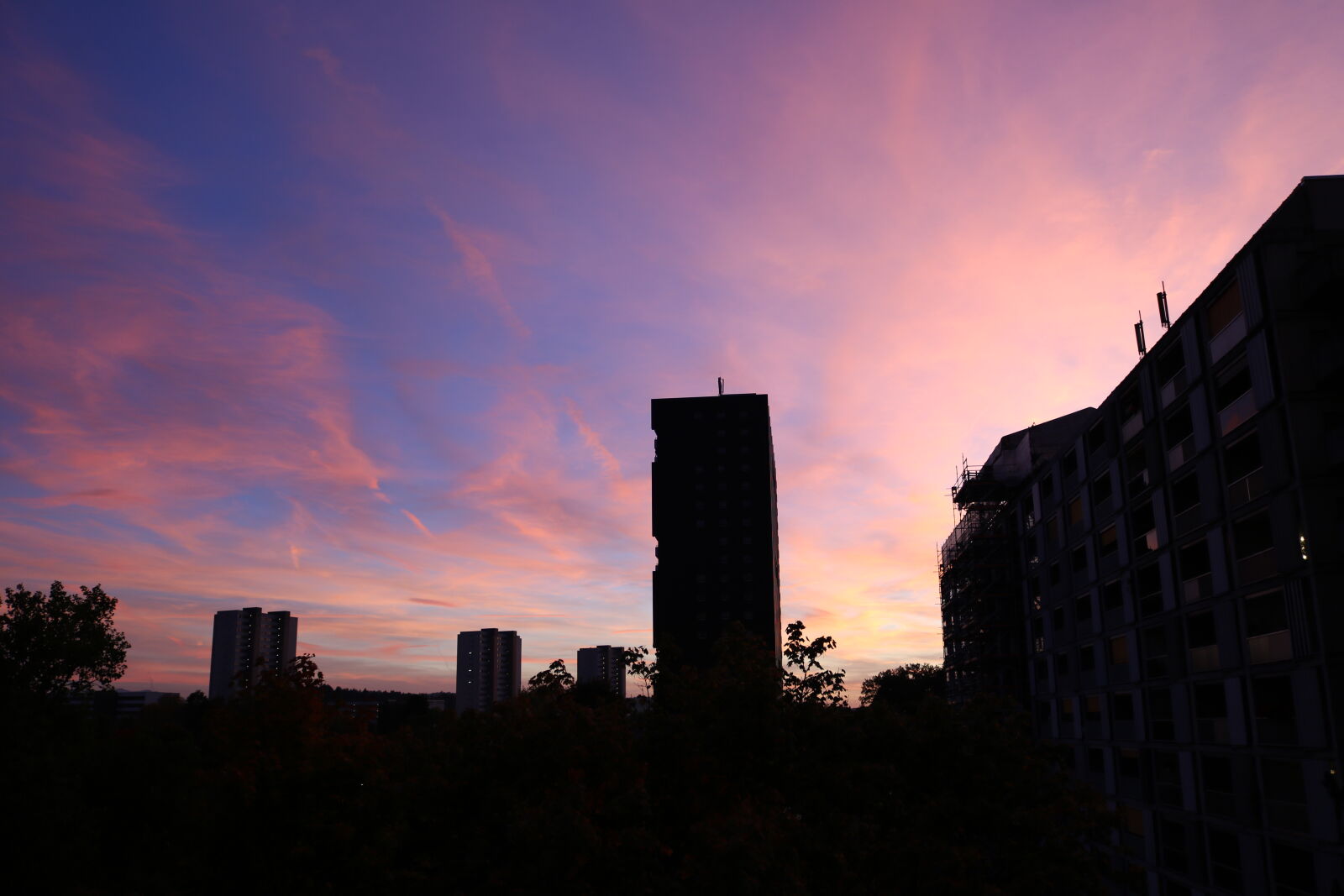 Canon EOS 750D (EOS Rebel T6i / EOS Kiss X8i) sample photo