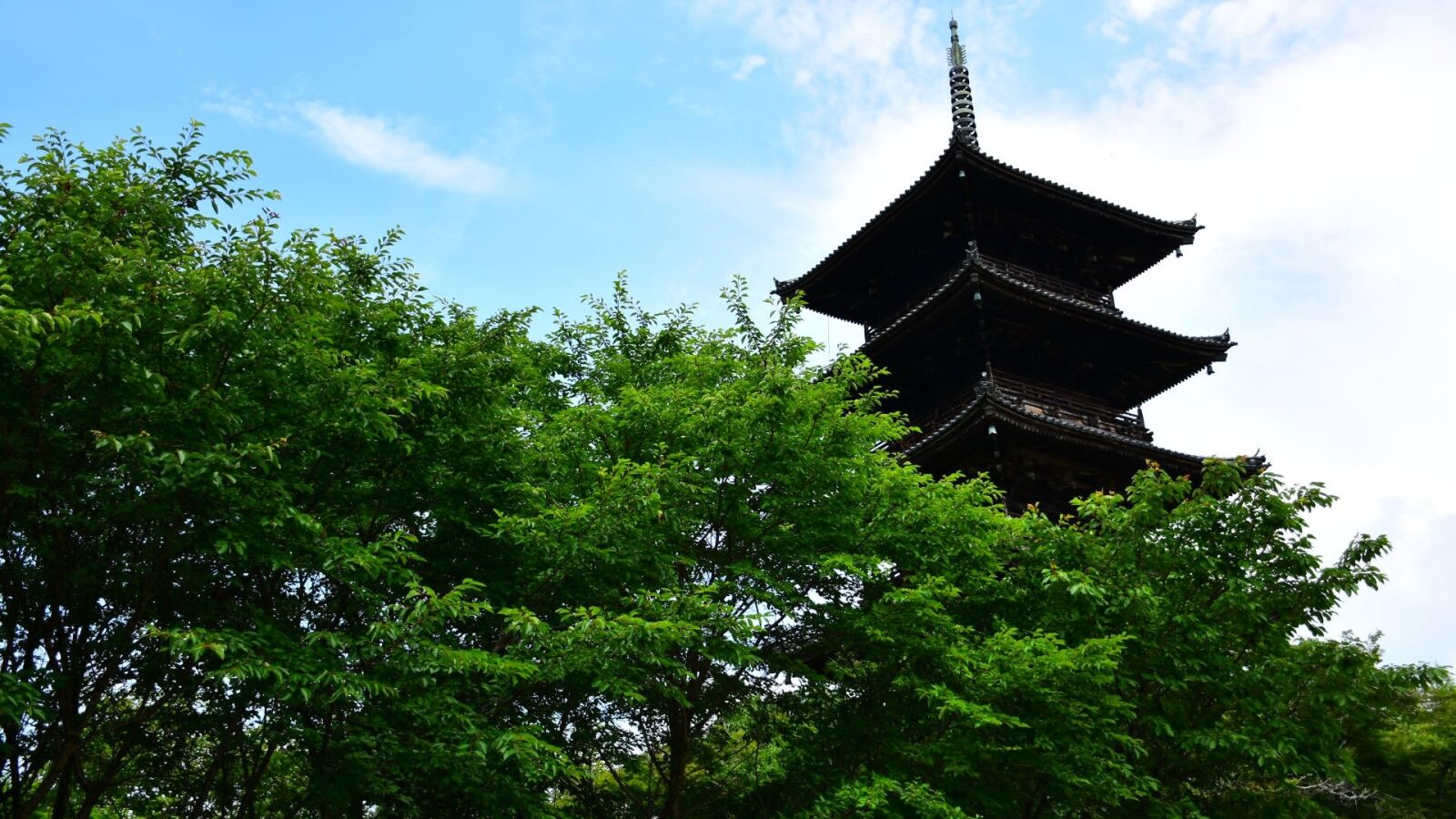Nikon D7200 sample photo. Five story pagoda, history photography