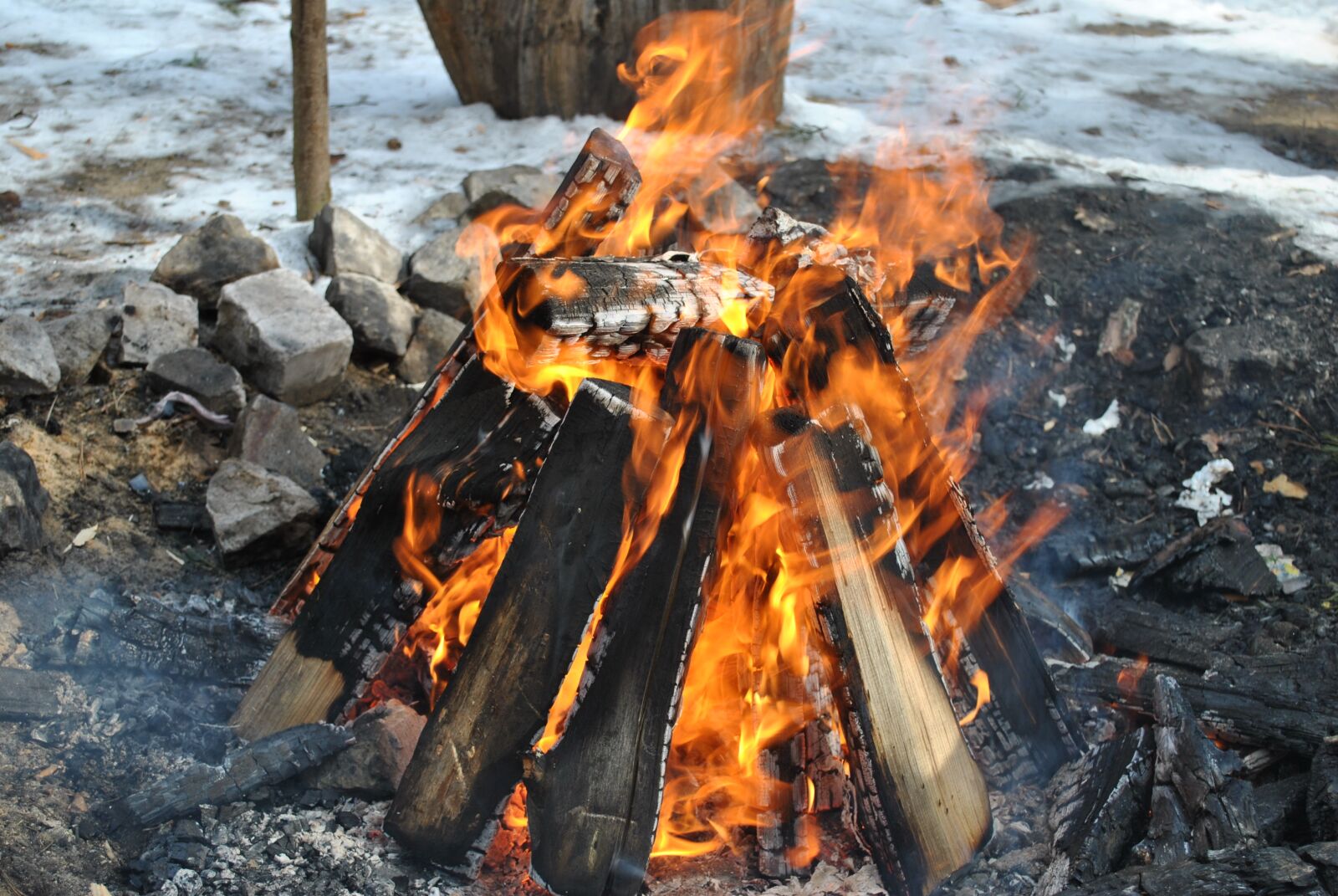 Nikon D3000 sample photo. Fire, koster, flame photography