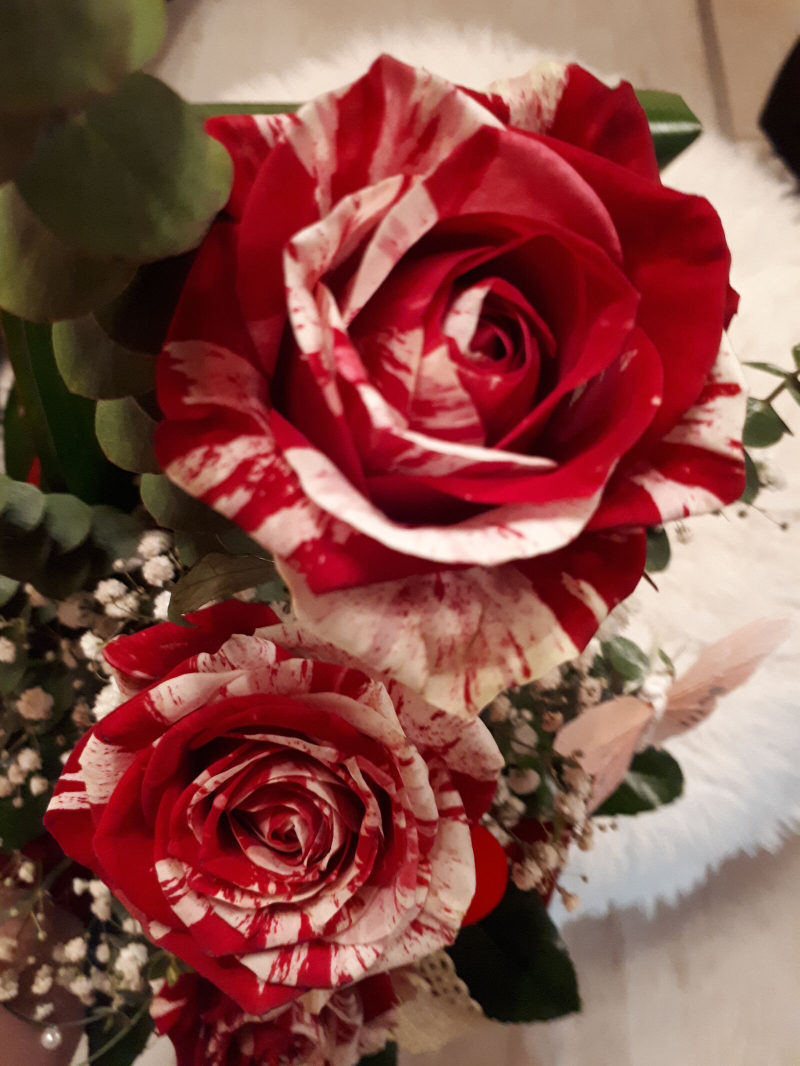 Samsung Galaxy A5(2017) sample photo. Rose, flower, valentine's photography
