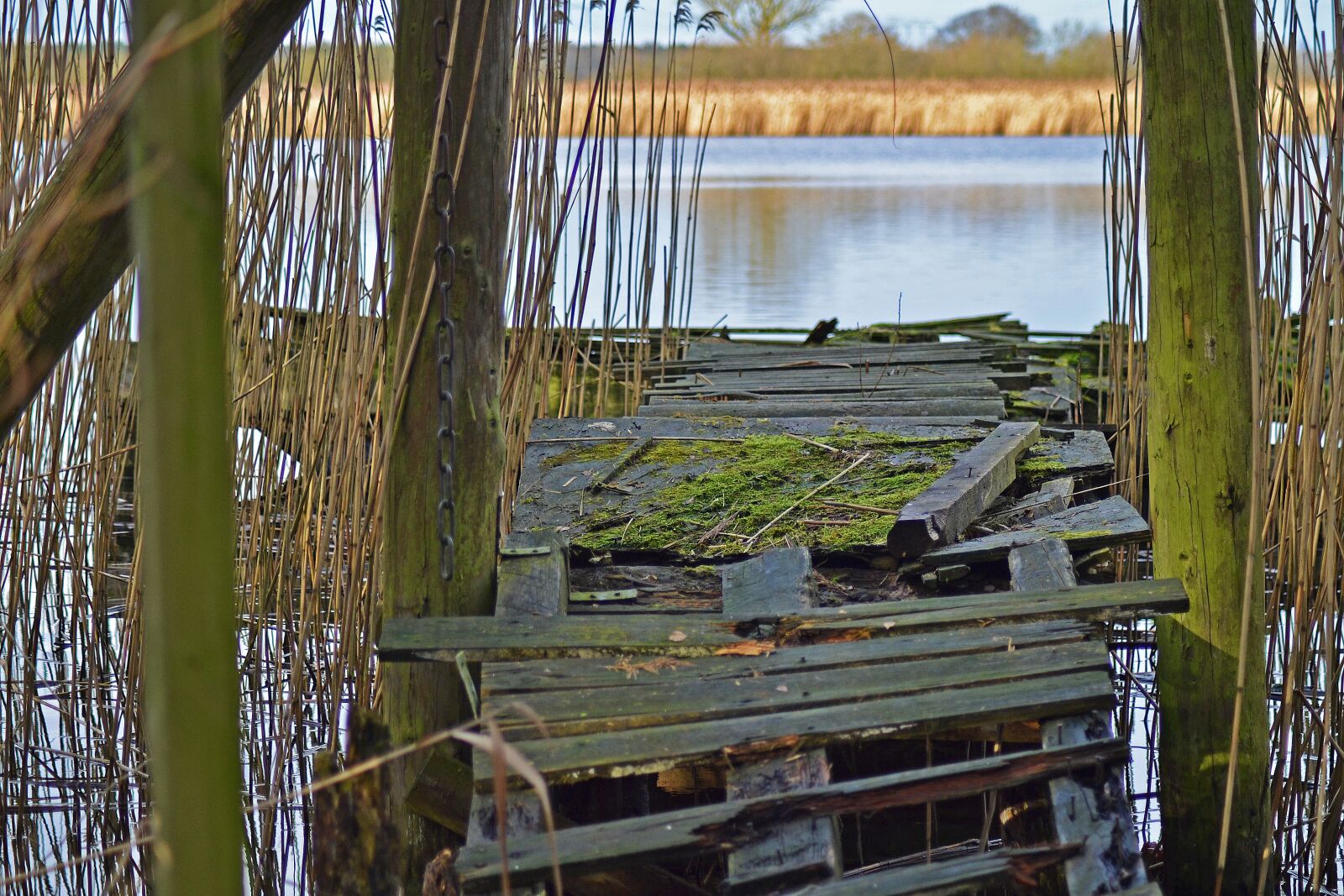 Nikon D3100 sample photo. Jetty, decay, old photography