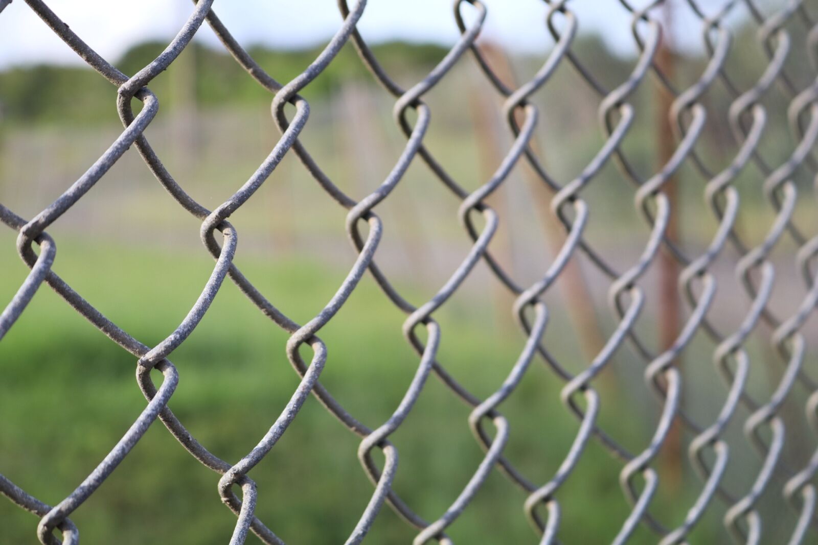 Canon EOS 80D sample photo. Fence, security, wire photography
