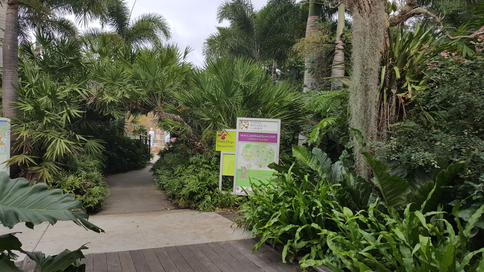 Samsung GALAXY S6 edge sample photo. Botanical, gardens, naples photography