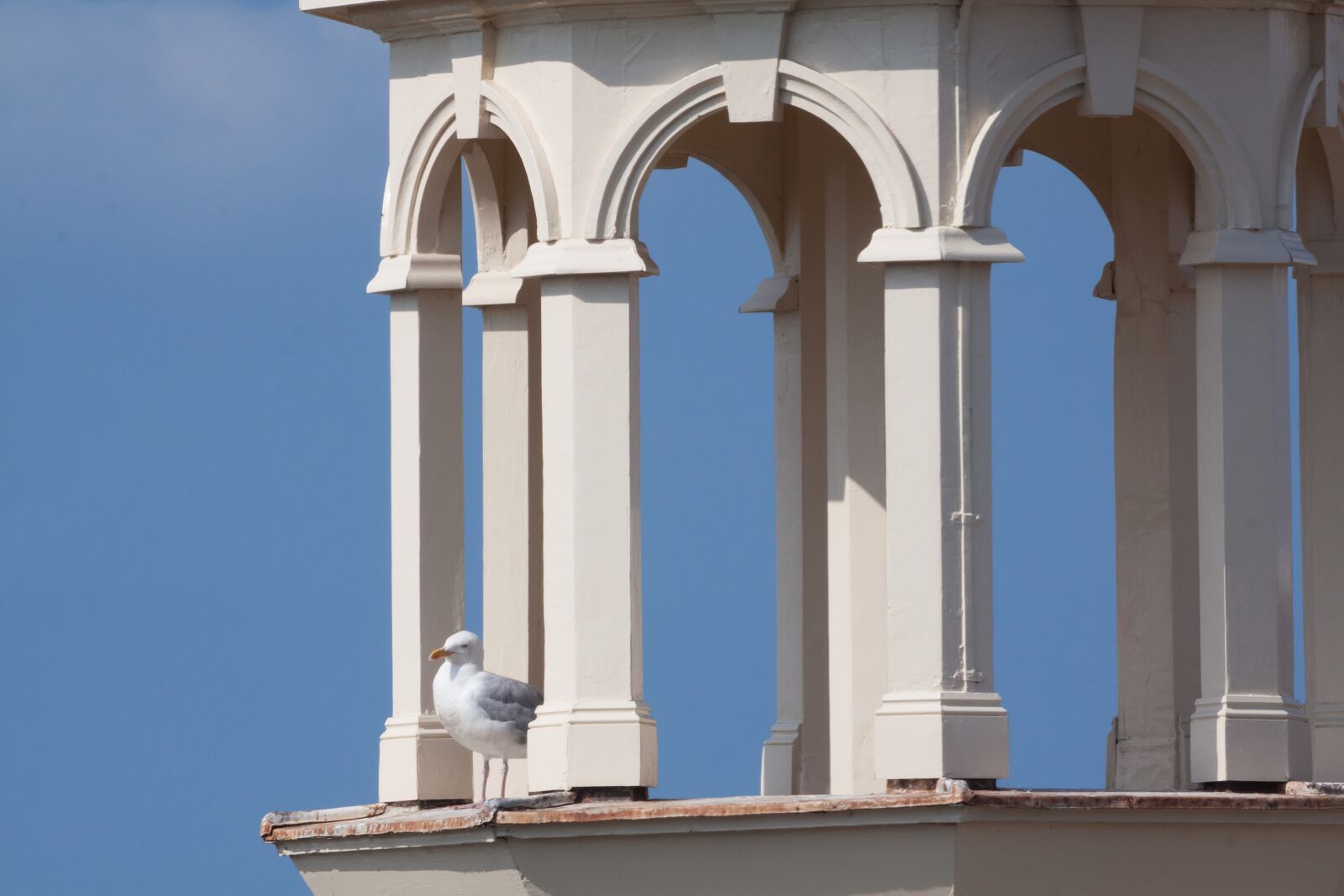 Canon EOS 50D + Canon EF 100-400mm F4.5-5.6L IS USM sample photo. Tower, columnar, seagull photography