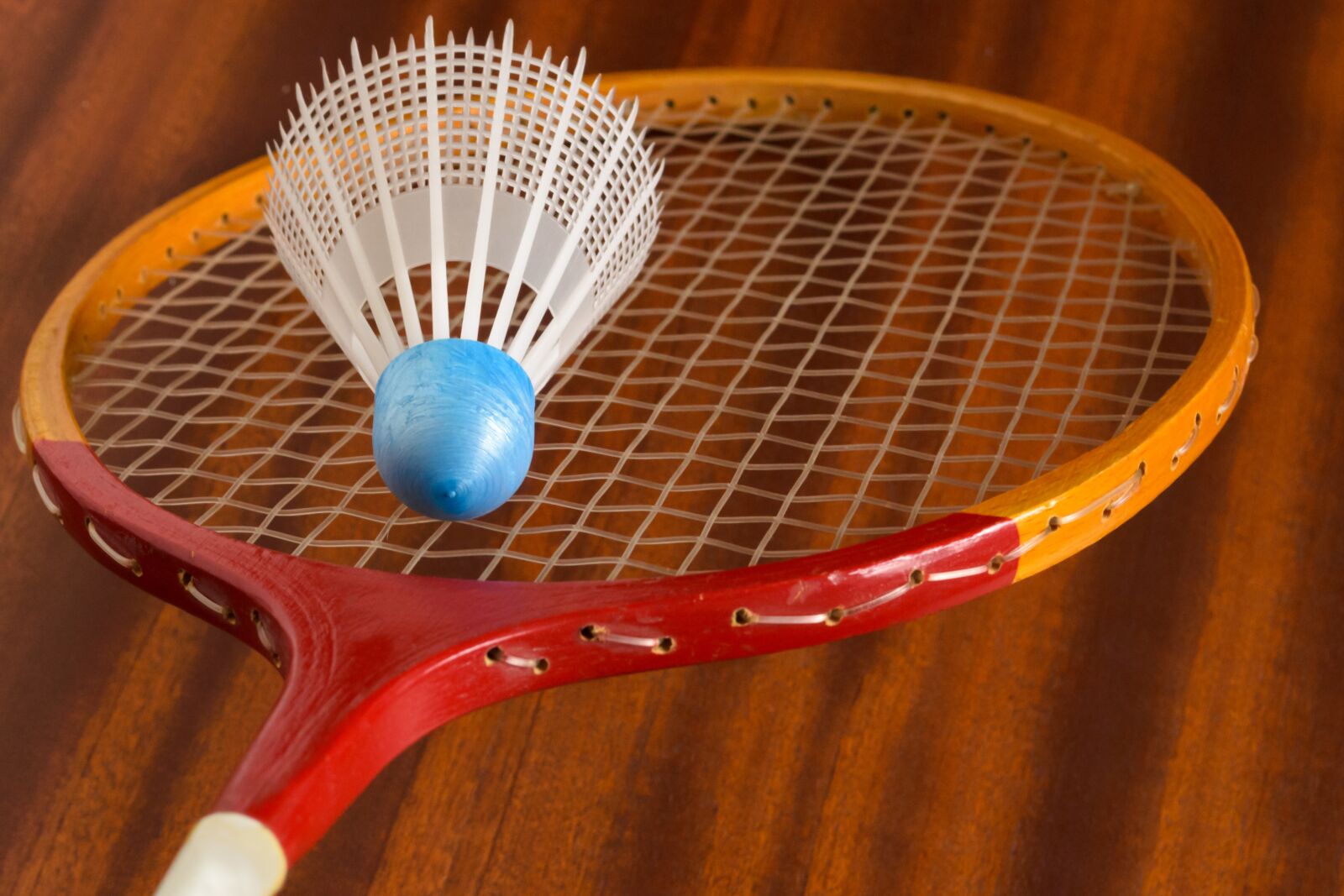 Nikon D3100 sample photo. Sports, competition, badminton photography