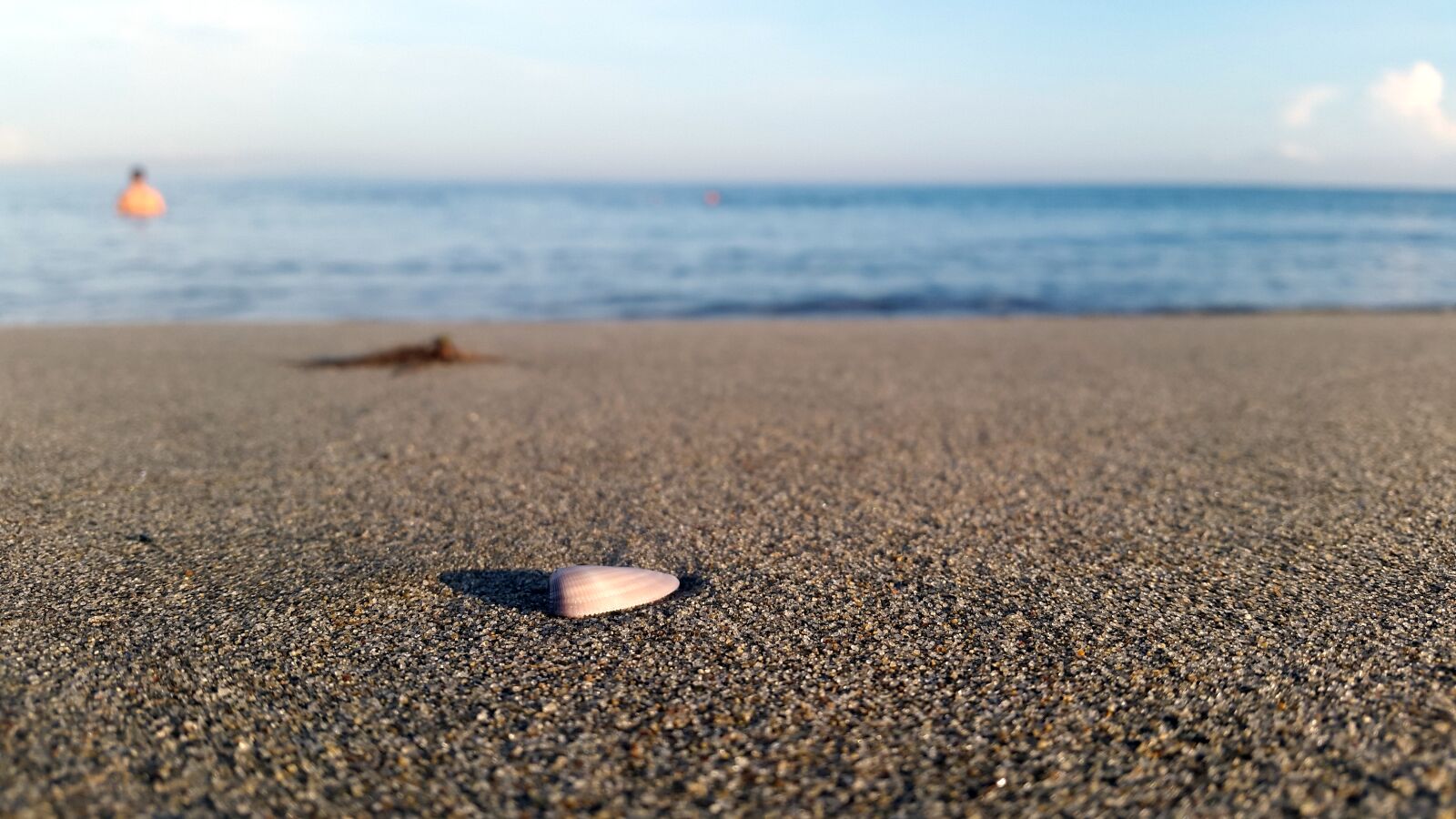 Samsung Galaxy S5 sample photo. Beach, conch, honduras, sand photography