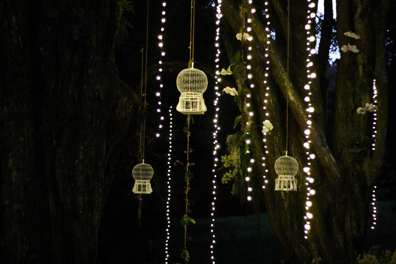 Canon EOS 1100D (EOS Rebel T3 / EOS Kiss X50) + Canon EF 50mm F1.8 II sample photo. Night, lights, light photography