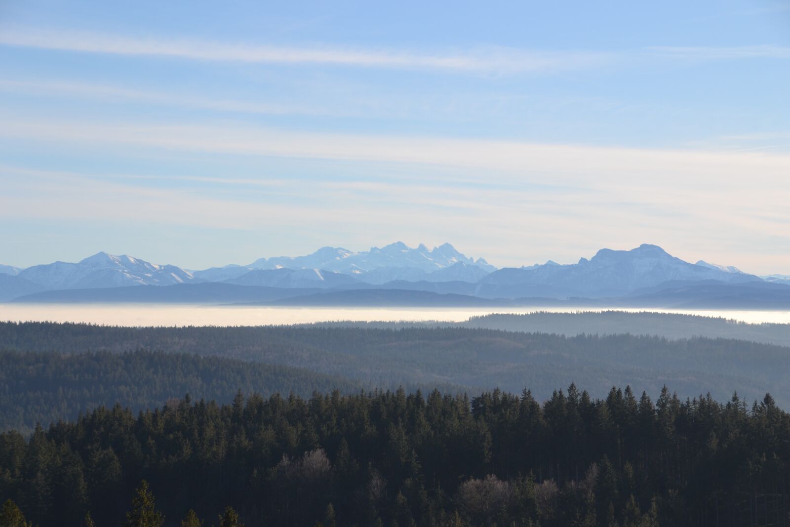 Nikon D3100 sample photo. Forest, mountains, sky photography