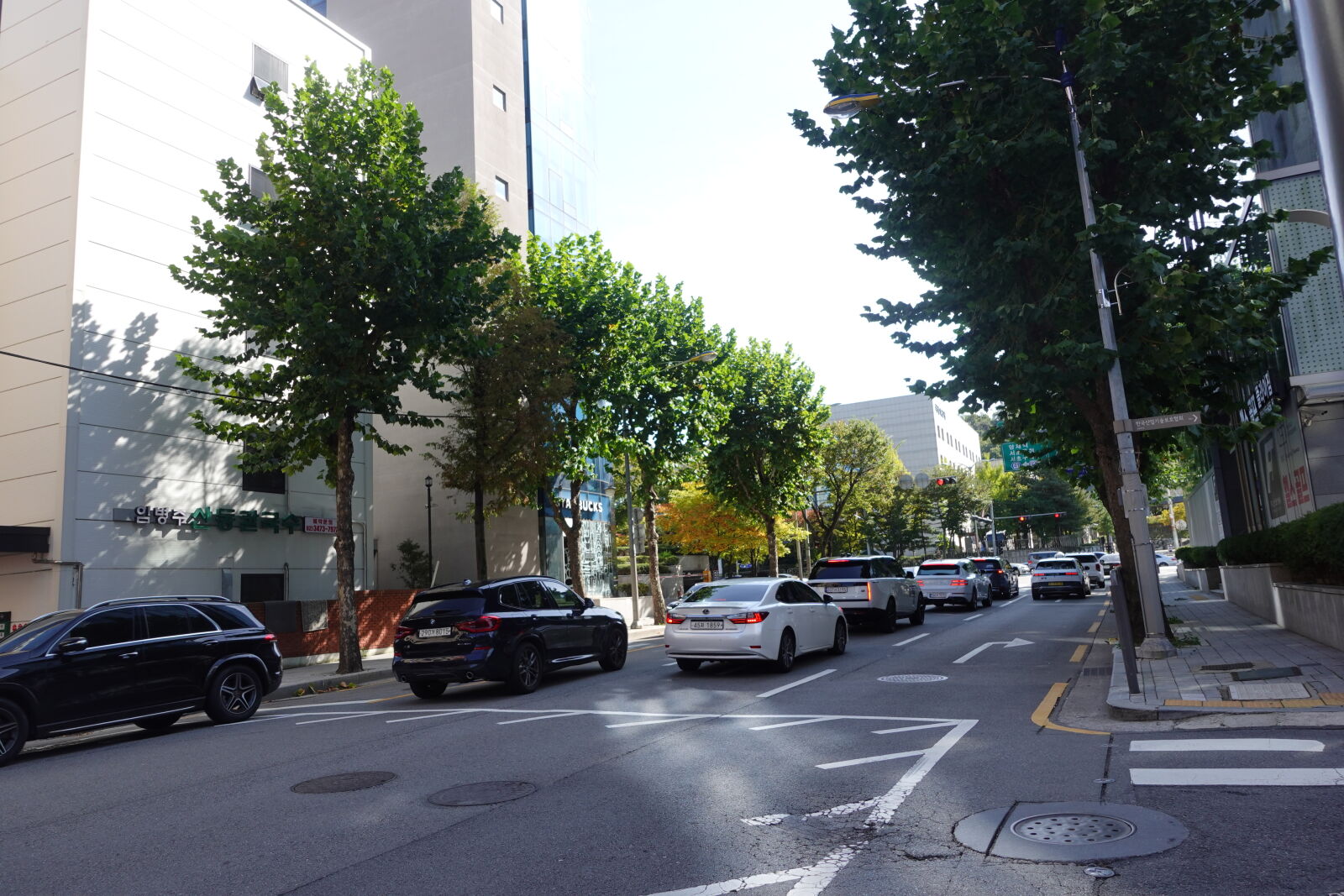 Sony ZV-1 sample photo