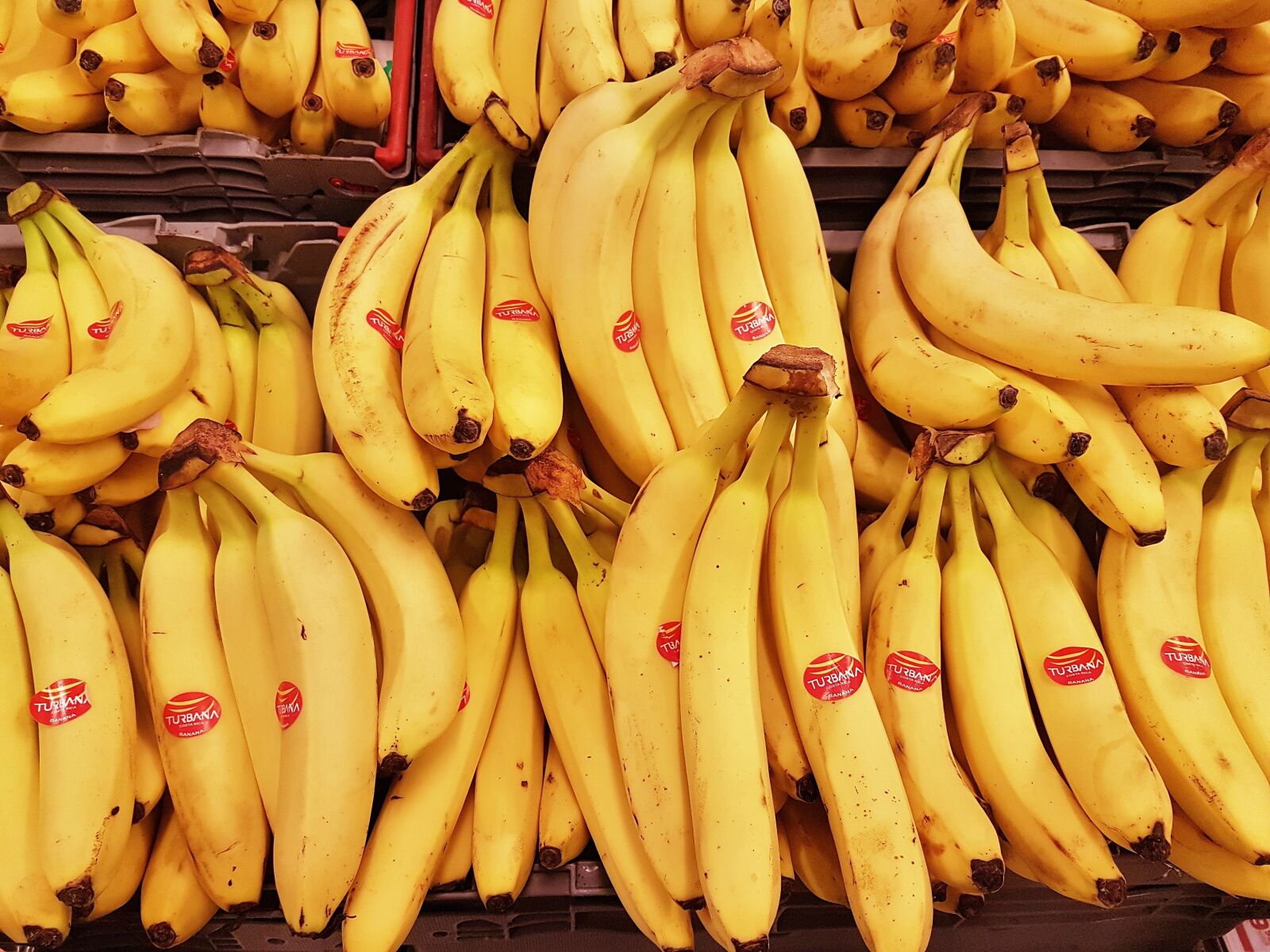 Samsung Galaxy S7 Edge sample photo. Banana, food, healthy photography