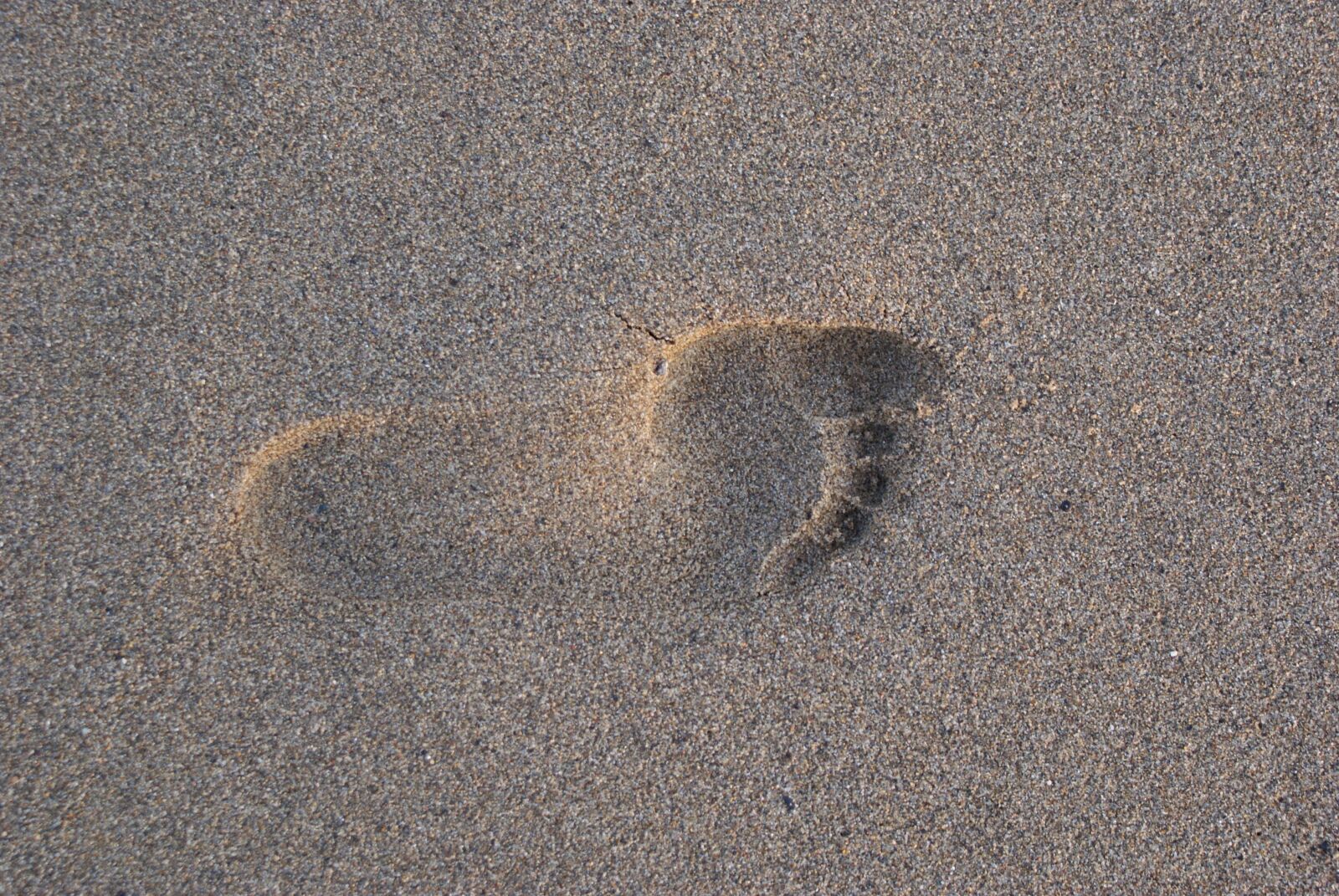 Sony Alpha DSLR-A200 sample photo. Beach, sand, food photography