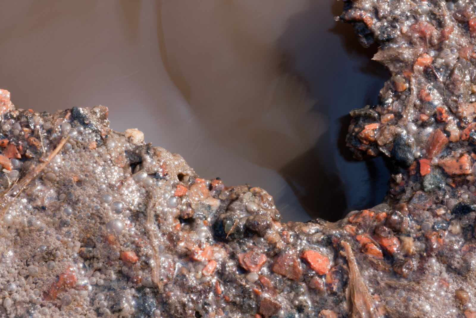 Canon EF 180mm F3.5L Macro USM sample photo
