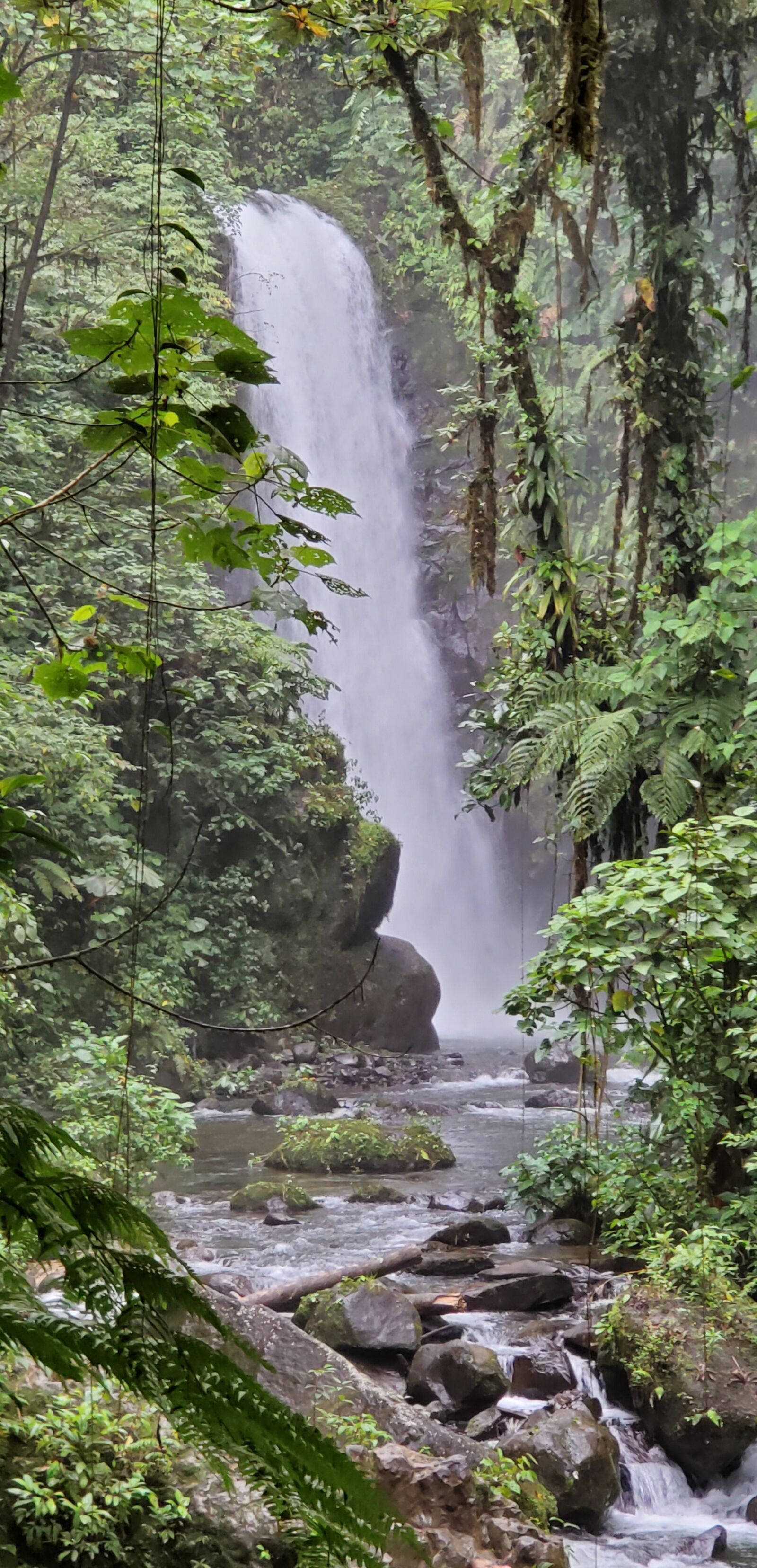 Samsung Galaxy S10 sample photo. Waterfall, forest stream, nature photography