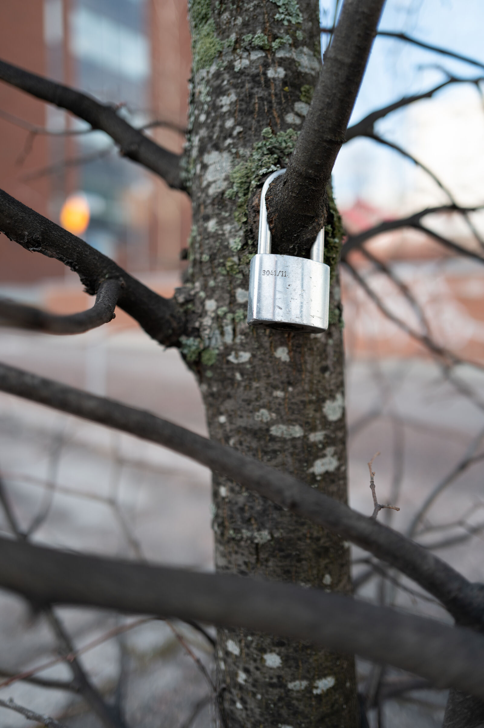 Leica Q3 sample photo. Padlock for the tree photography