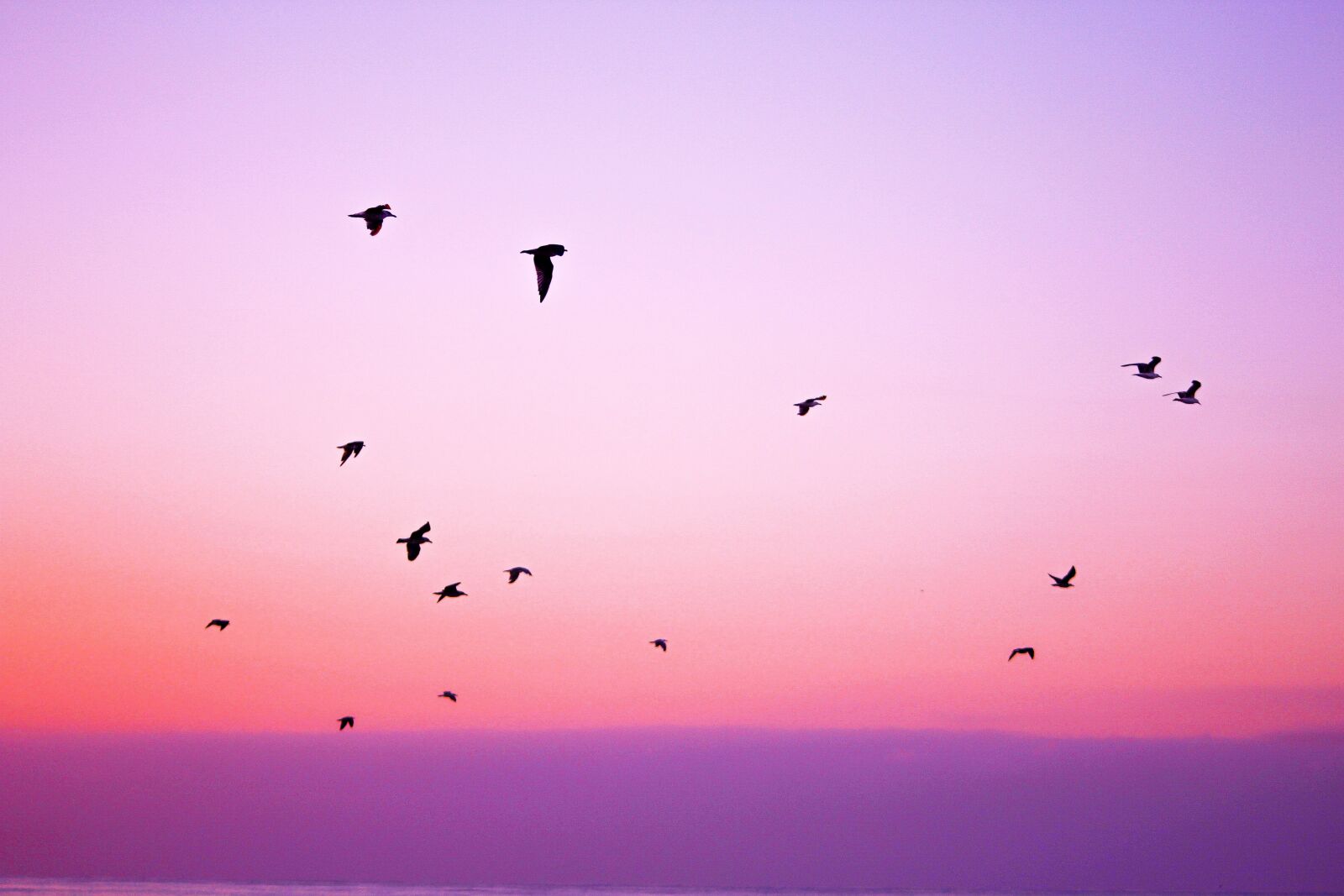 Canon EOS 600D (Rebel EOS T3i / EOS Kiss X5) sample photo. Pink, purple, sky photography