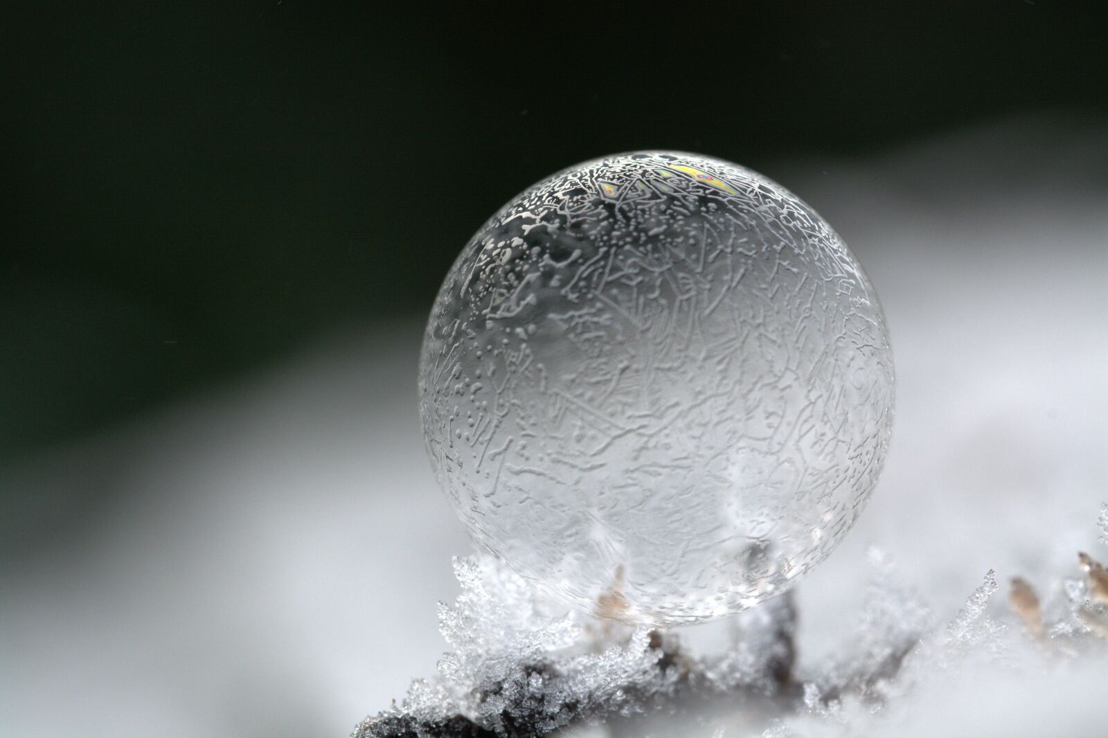 Nikon D5200 sample photo. Soap bubble, mirroring, colorful photography