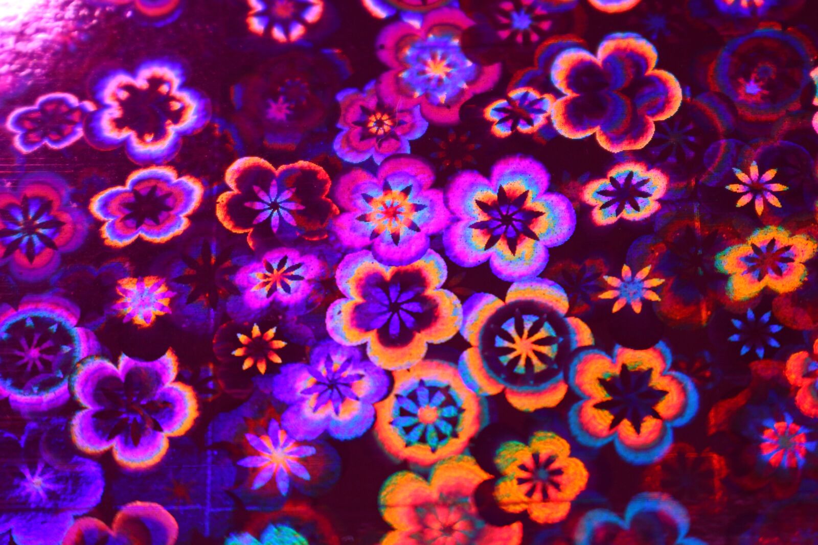 Canon EOS 100D (EOS Rebel SL1 / EOS Kiss X7) sample photo. Handicraft paper, iridescent, photo photography