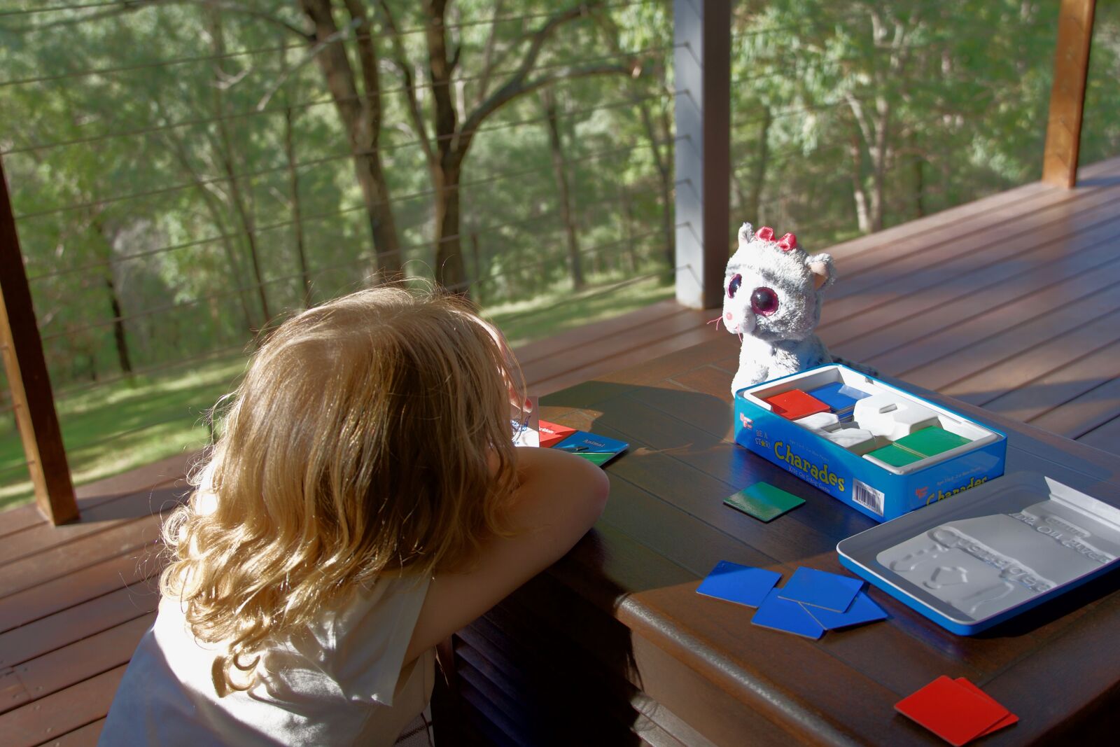 Sony E 18-135mm F3.5-5.6 OSS sample photo. Game, child, play photography