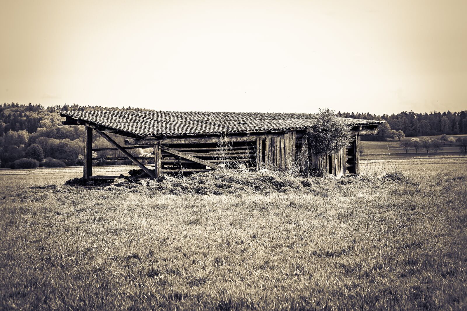 Canon EF 70-300mm F4-5.6 IS USM sample photo. Field barn, old, wood photography